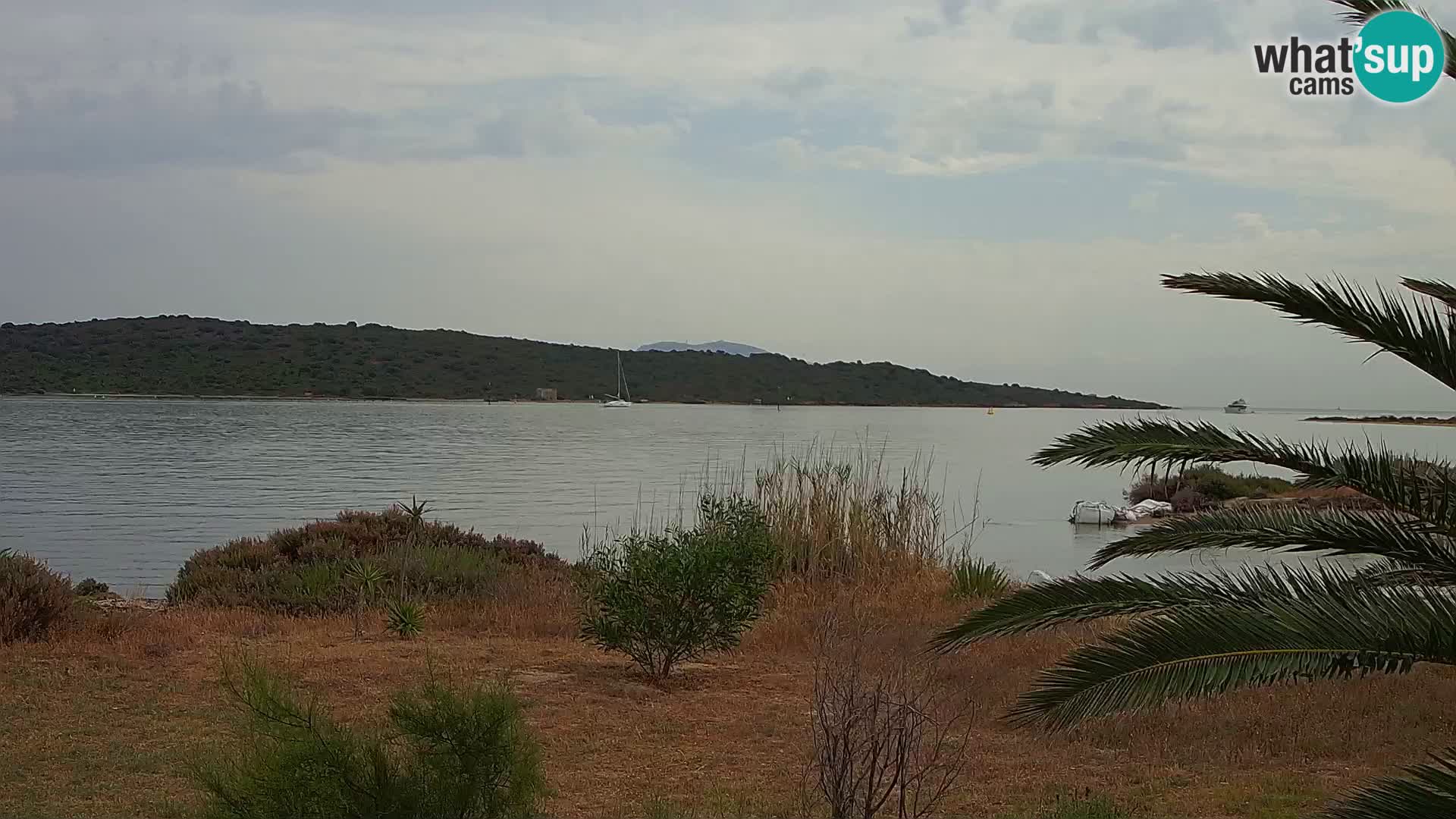 Webcam Hafen Olbia – Eingang zum Hafen von Olbia