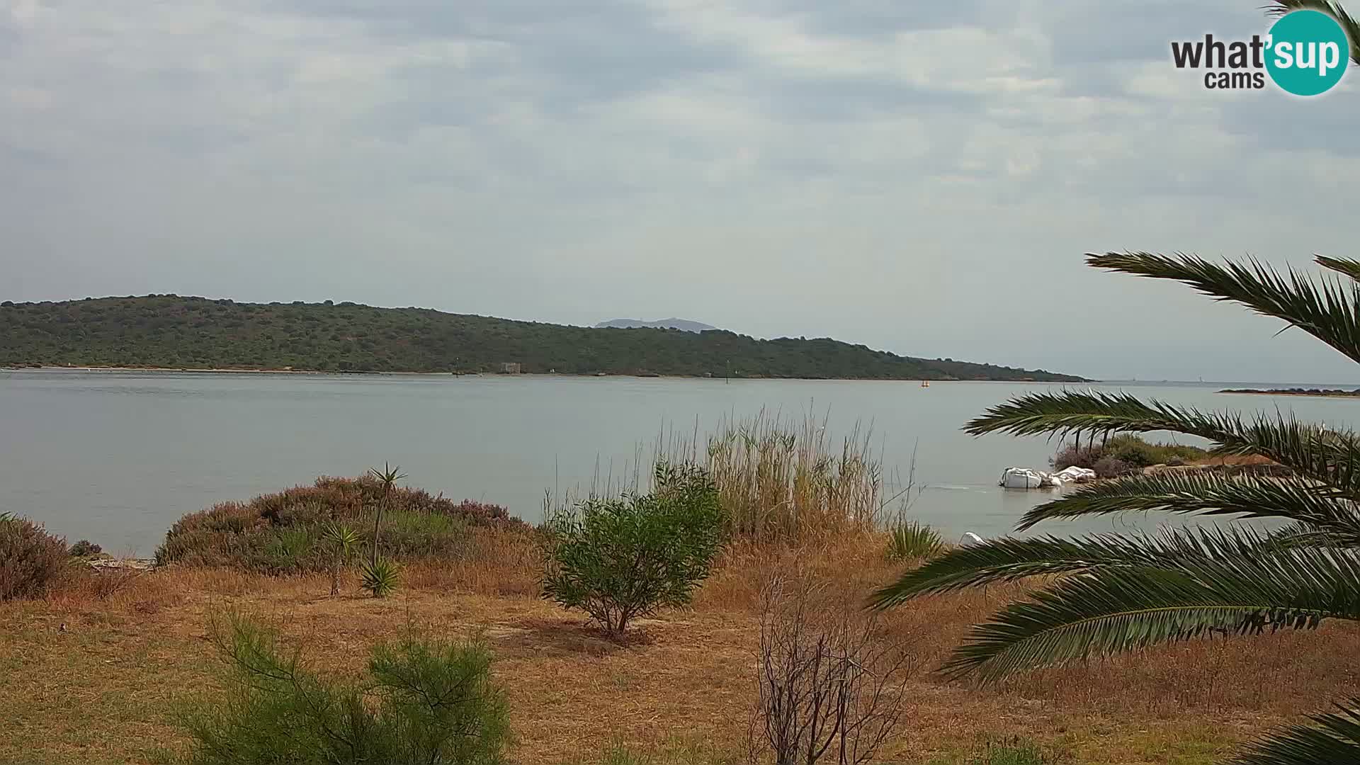 Webcam port d’Olbia – entrée du port d’Olbia