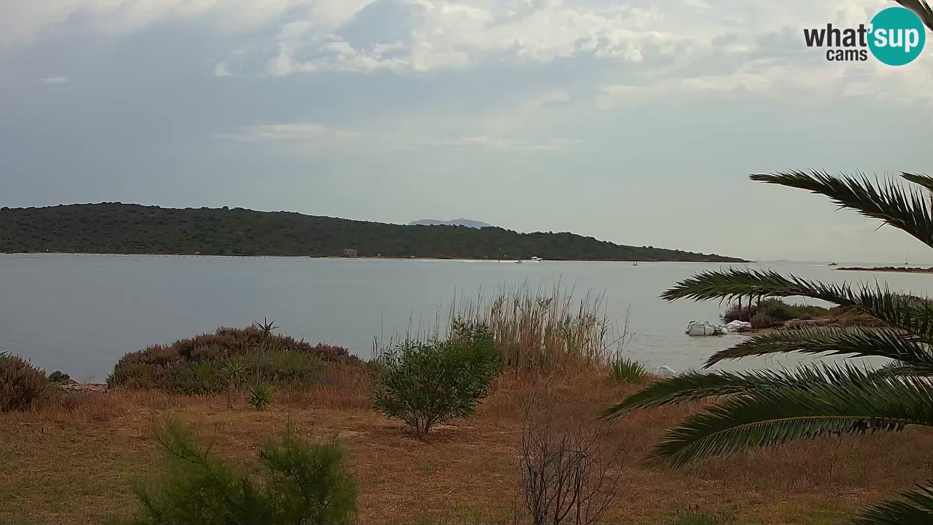 Webcam Hafen Olbia – Eingang zum Hafen von Olbia