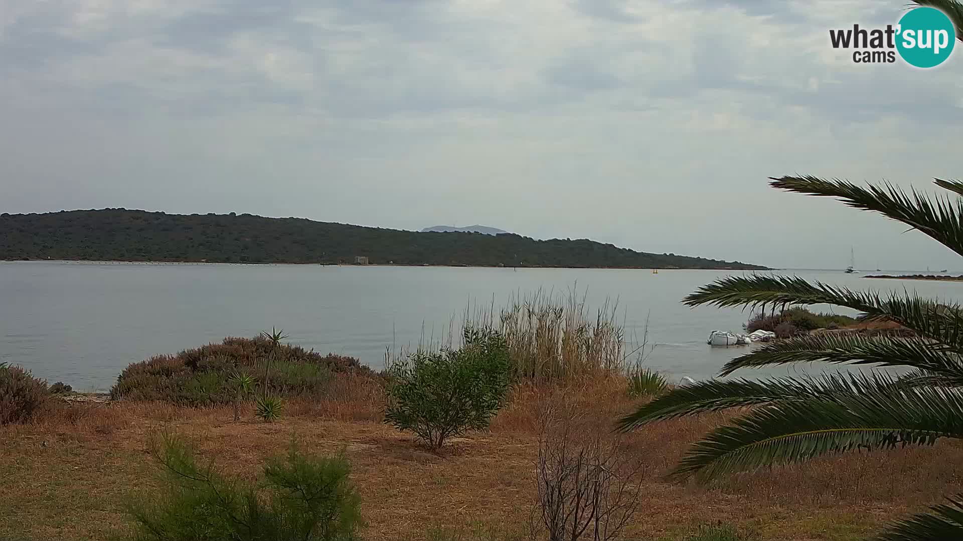 Webcam Olbia port – entrance to the port of Olbia