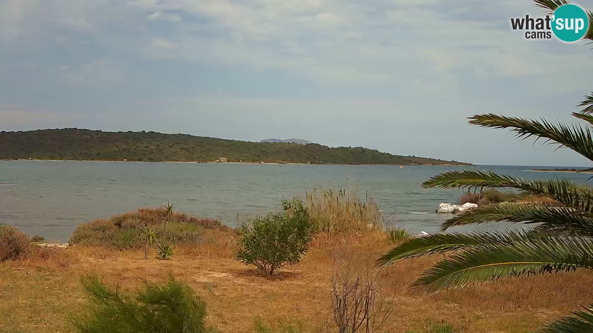Webcam porto di Olbia – entrata nel porto di Olbia