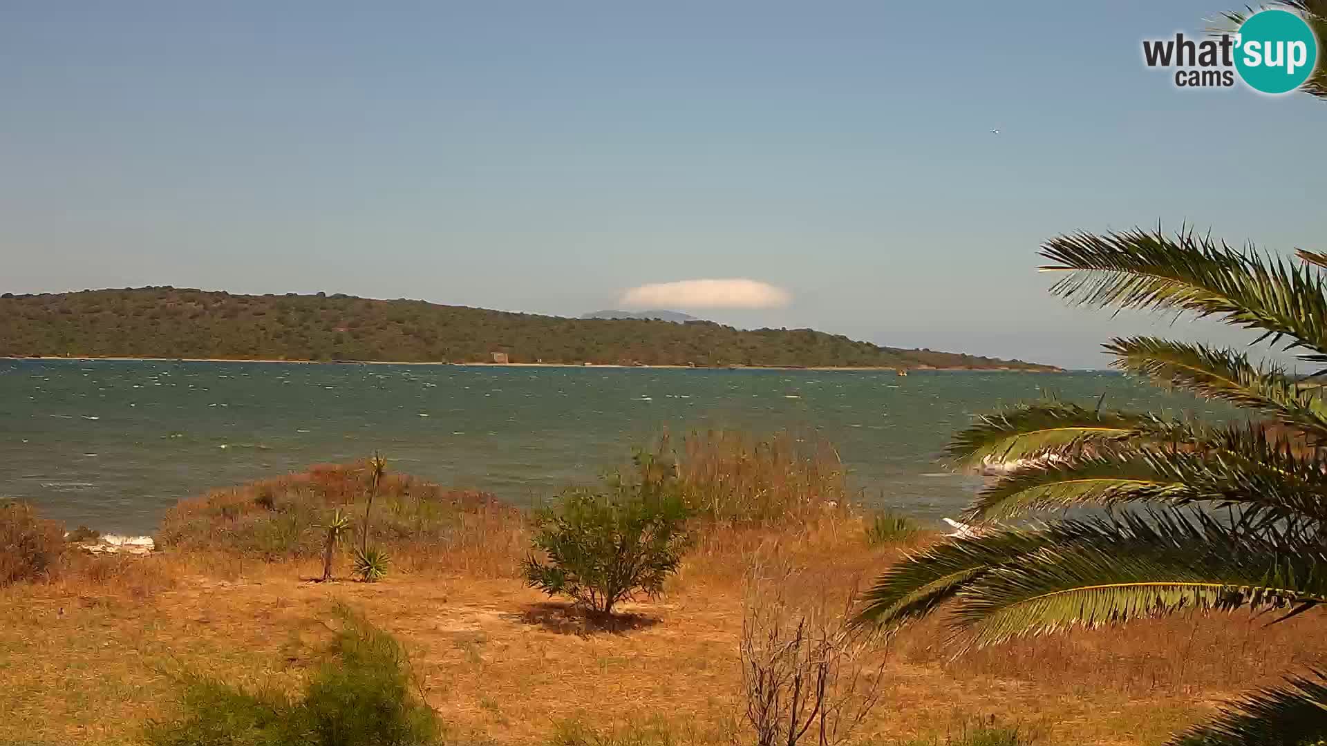 Webcam Hafen Olbia – Eingang zum Hafen von Olbia