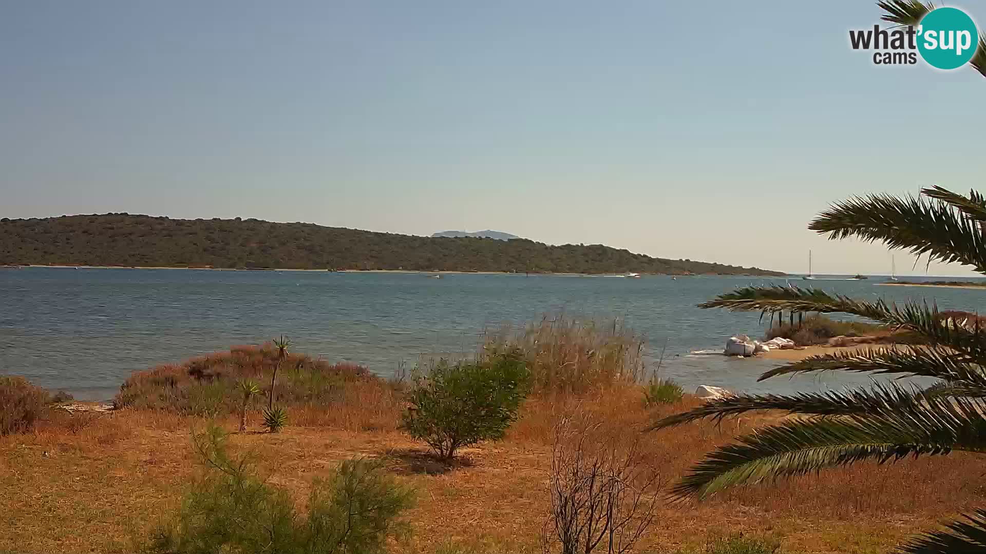 Webcam porto di Olbia – entrata nel porto di Olbia
