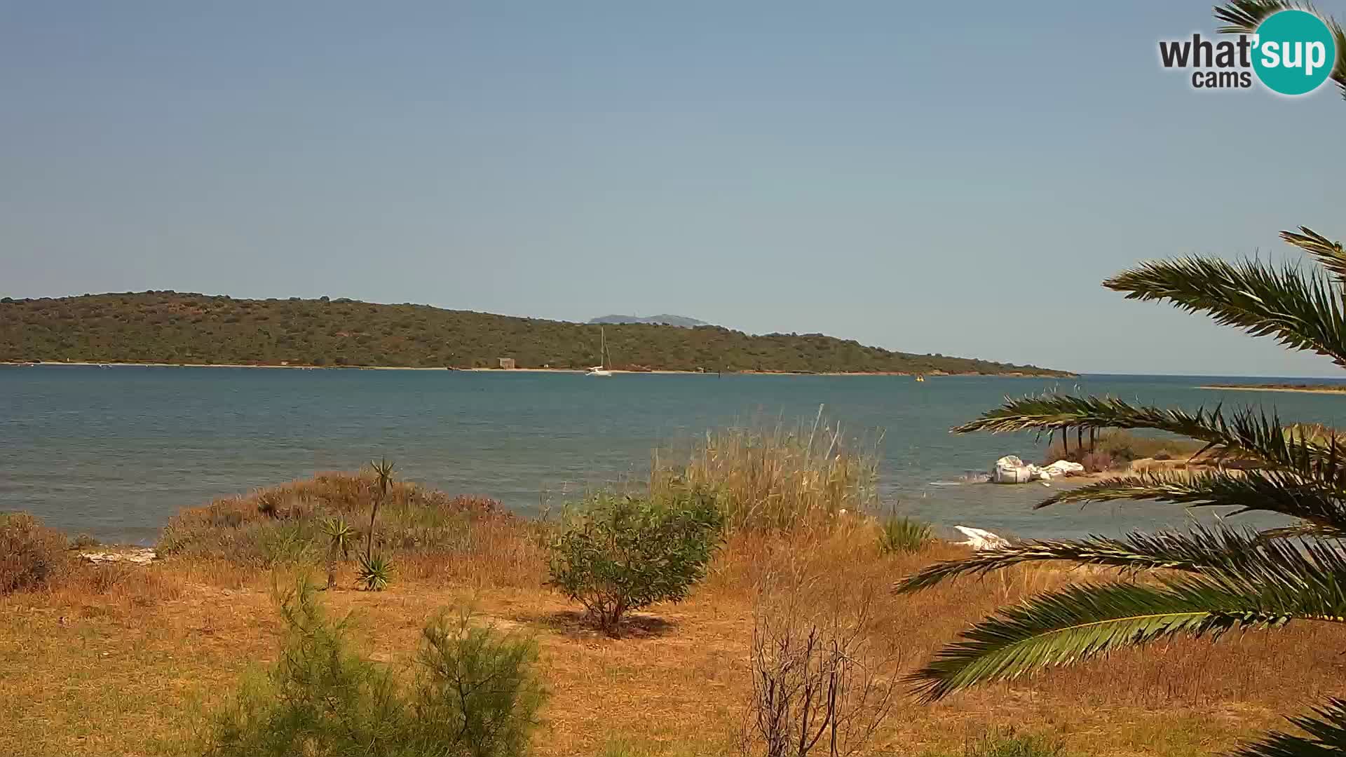 Webcam Hafen Olbia – Eingang zum Hafen von Olbia