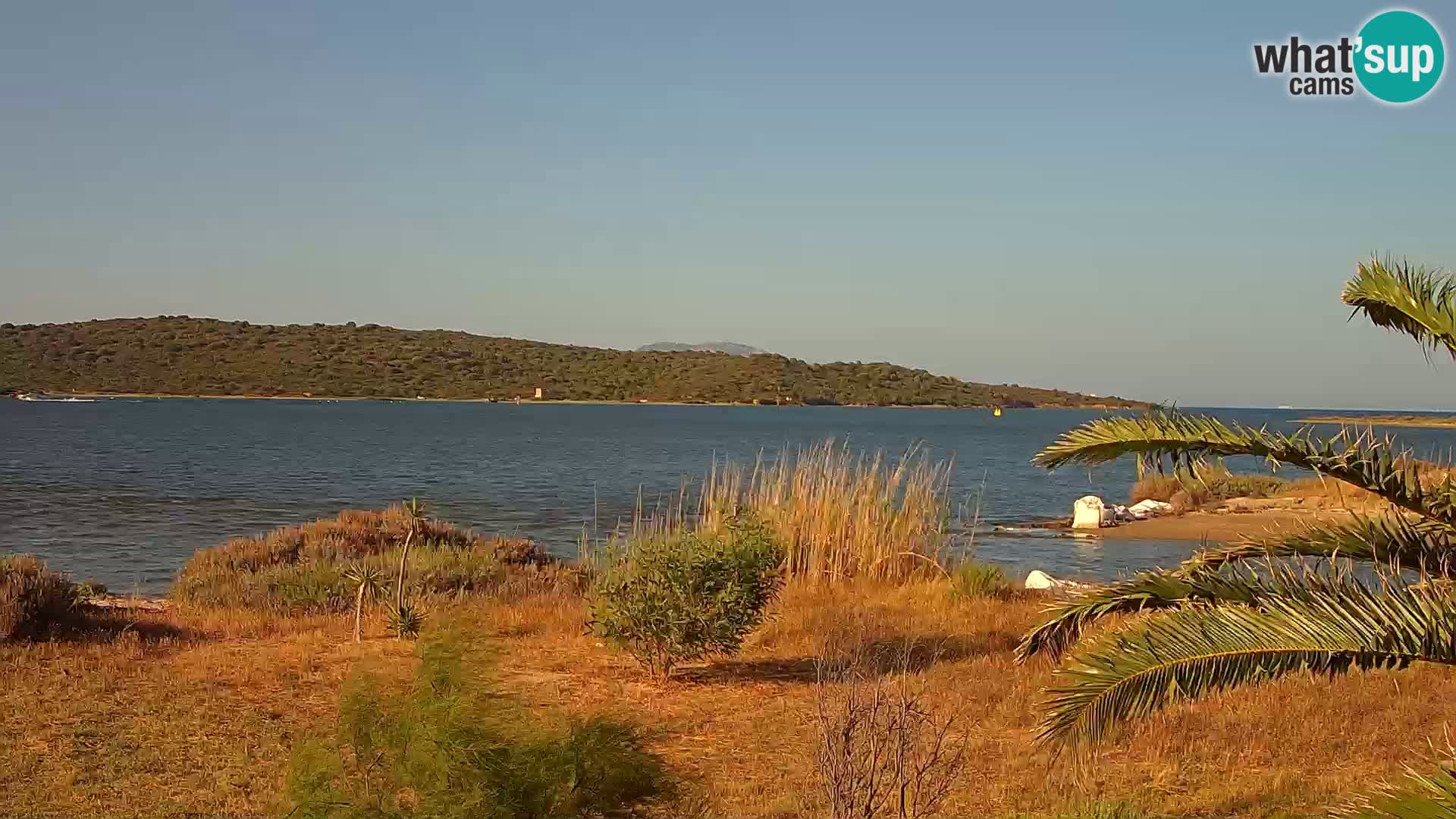 Webcam Olbia port – entrance to the port of Olbia