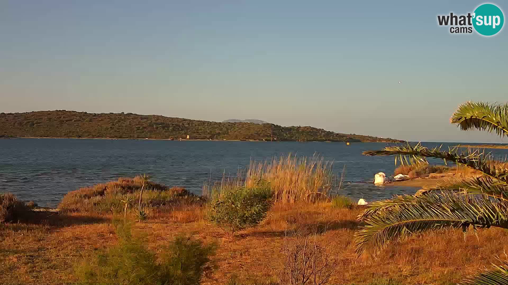 Camera web puerto de Olbia – entrada al puerto de Olbia