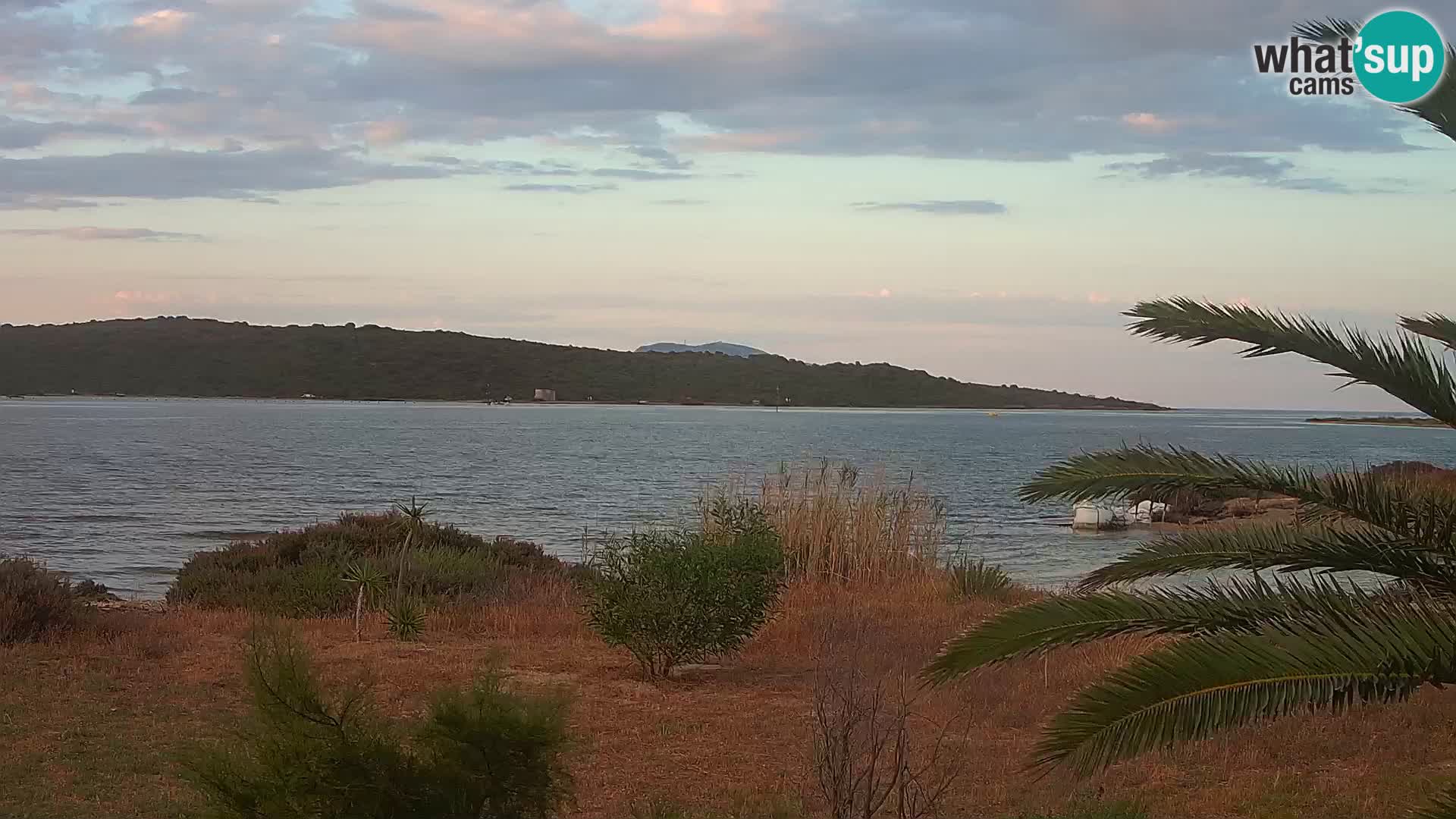 Webcam porto di Olbia – entrata nel porto di Olbia