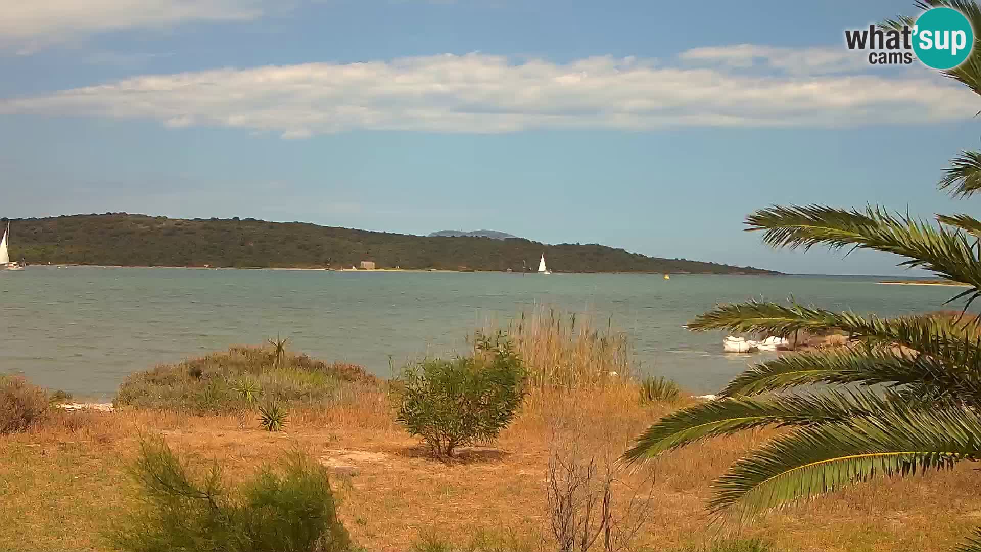 Camera web puerto de Olbia – entrada al puerto de Olbia