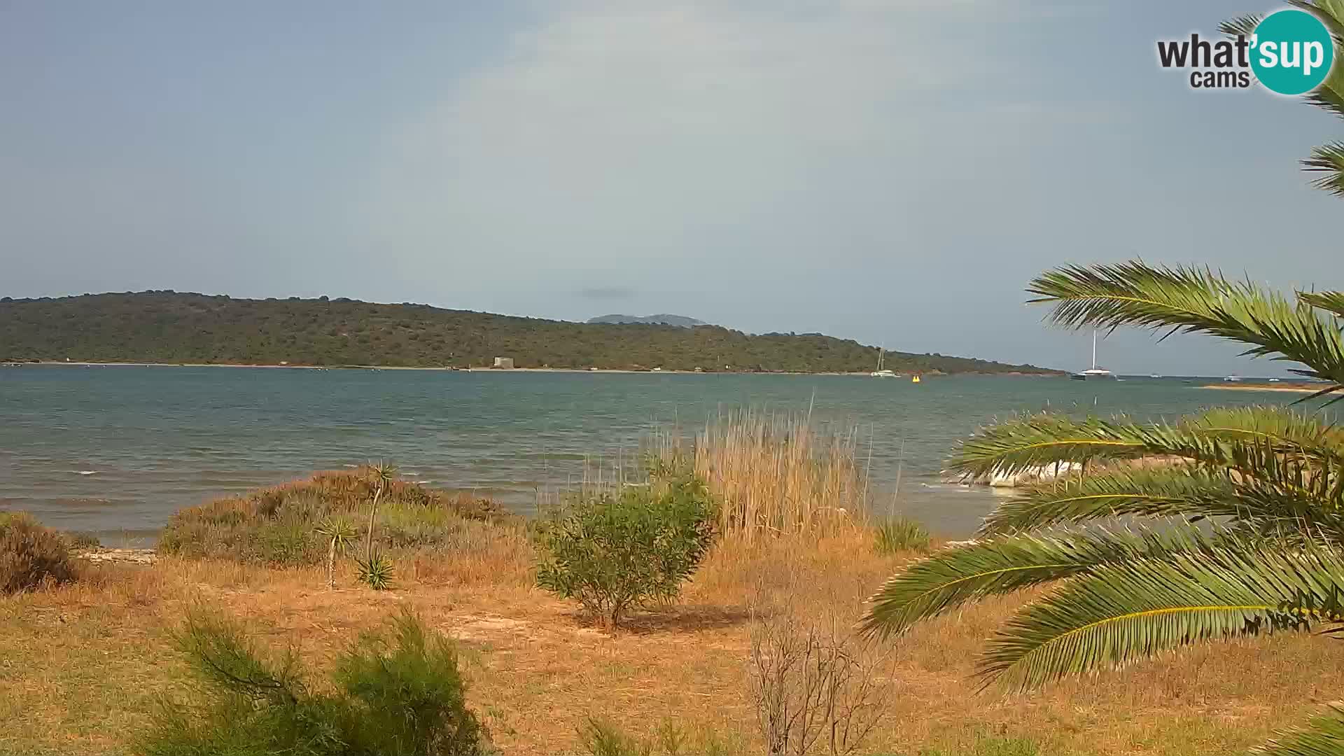 Webcam Olbia port – entrance to the port of Olbia
