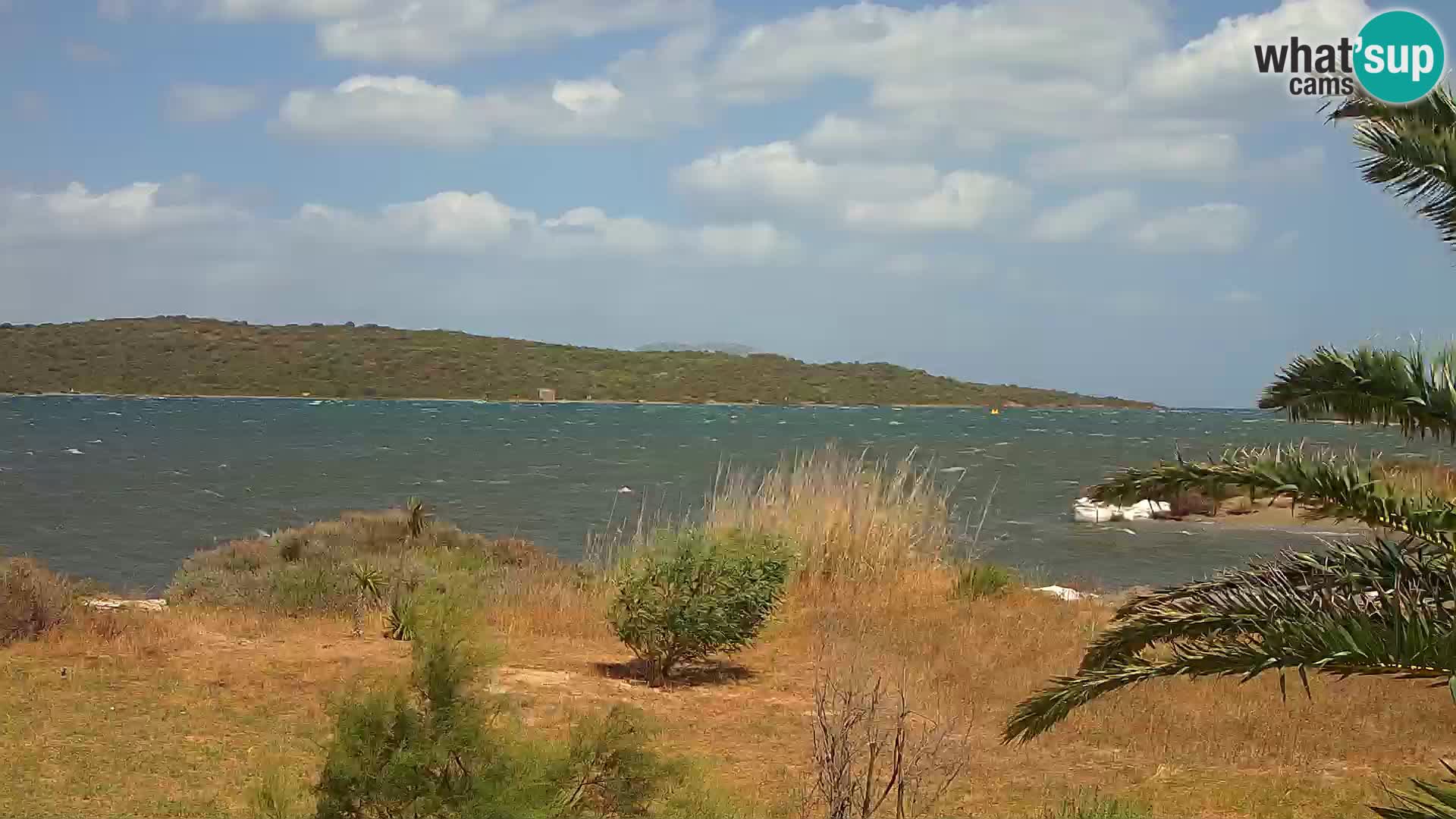 Webcam Olbia port – entrance to the port of Olbia
