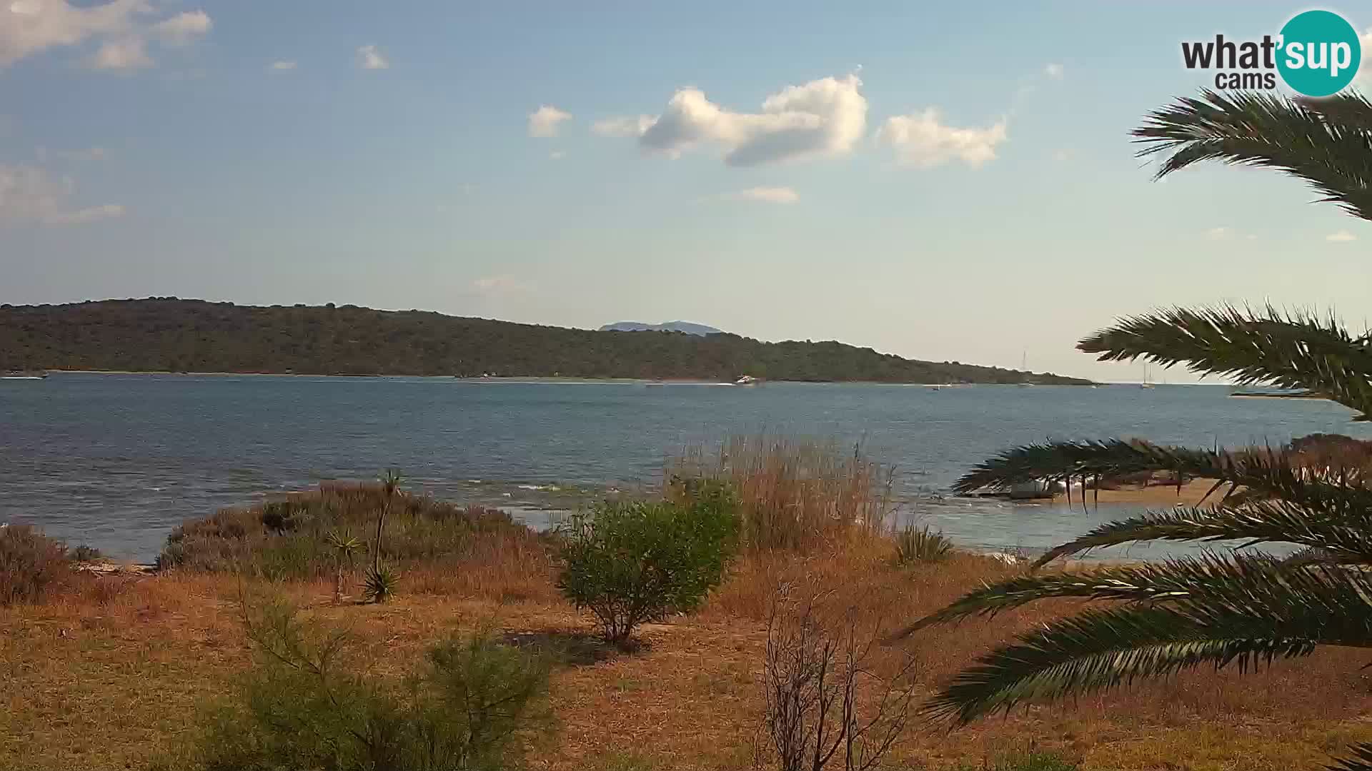 Spletna kamera pristanišče Olbia – vhod v pristanišče Olbia