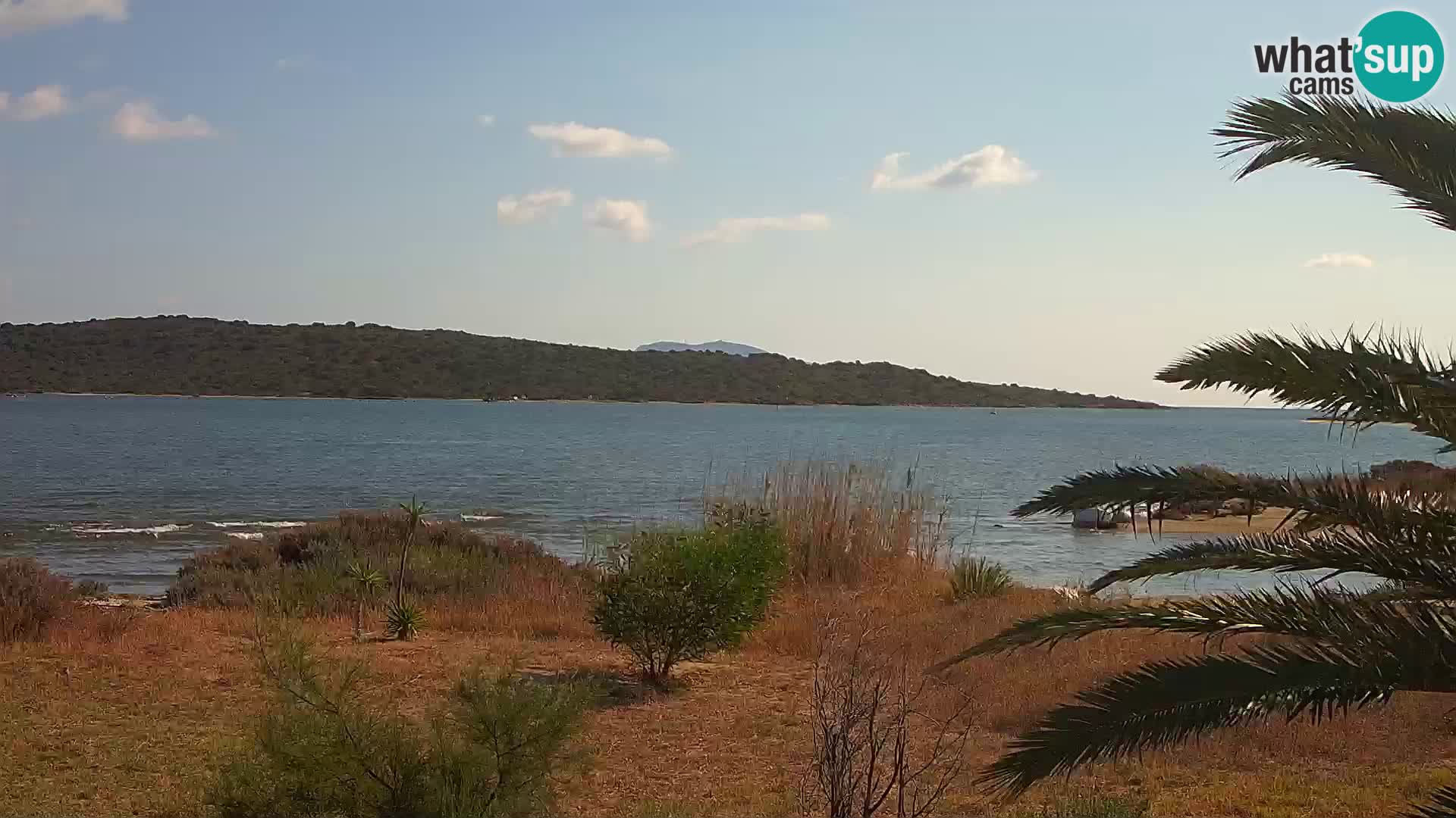 Webcam Hafen Olbia – Eingang zum Hafen von Olbia