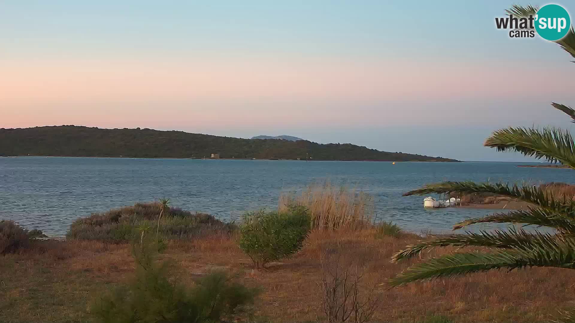 Webcam Olbia port – entrance to the port of Olbia