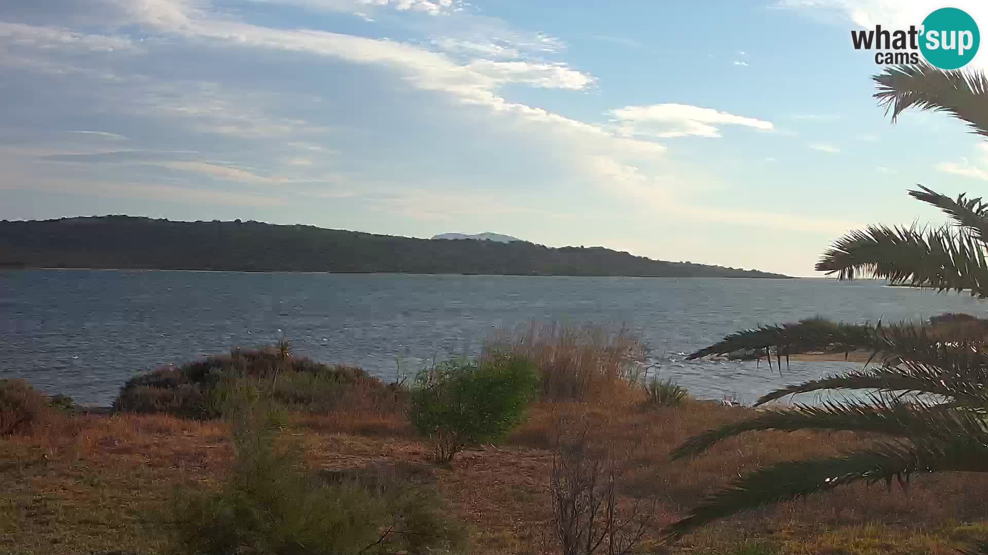 Webcam Olbia port – entrance to the port of Olbia
