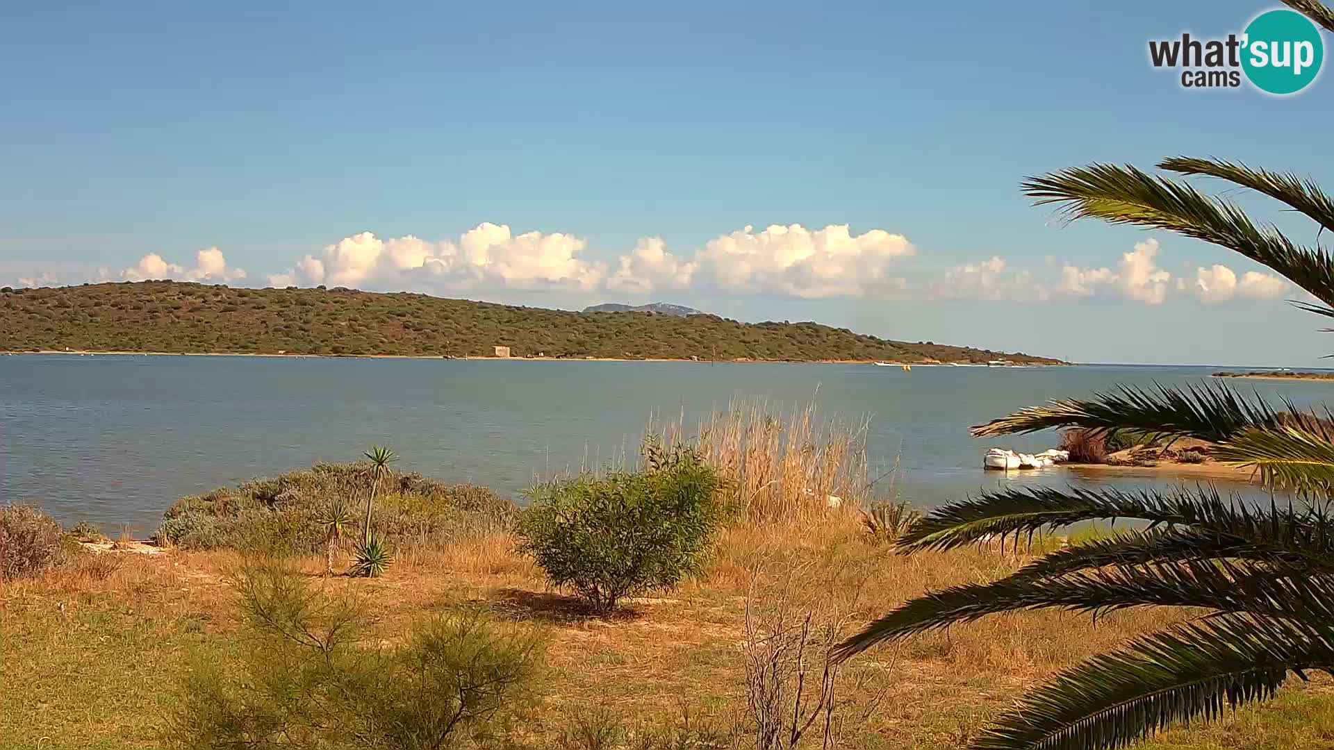 Webcam Hafen Olbia – Eingang zum Hafen von Olbia