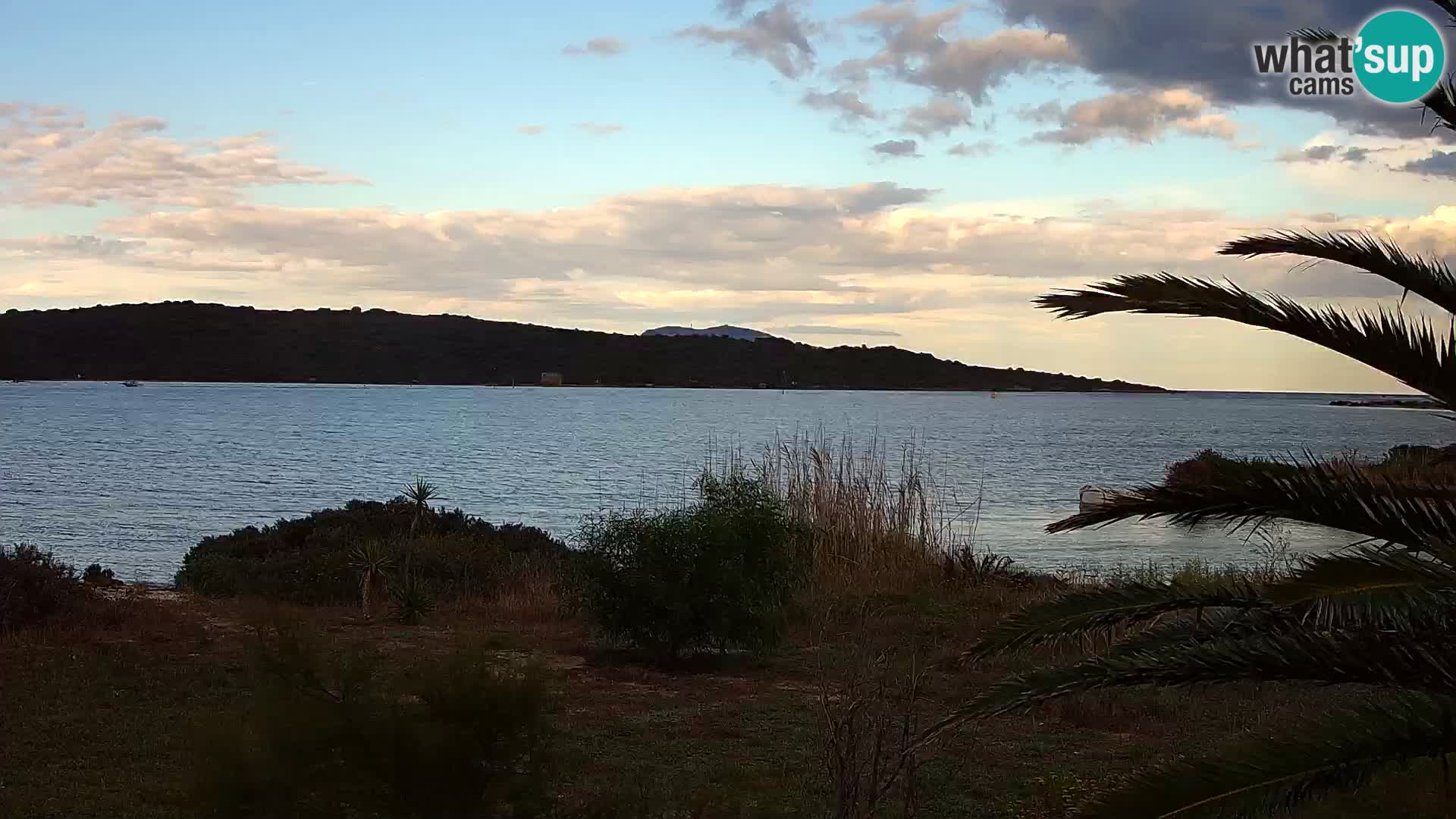 Webcam Olbia port – entrance to the port of Olbia