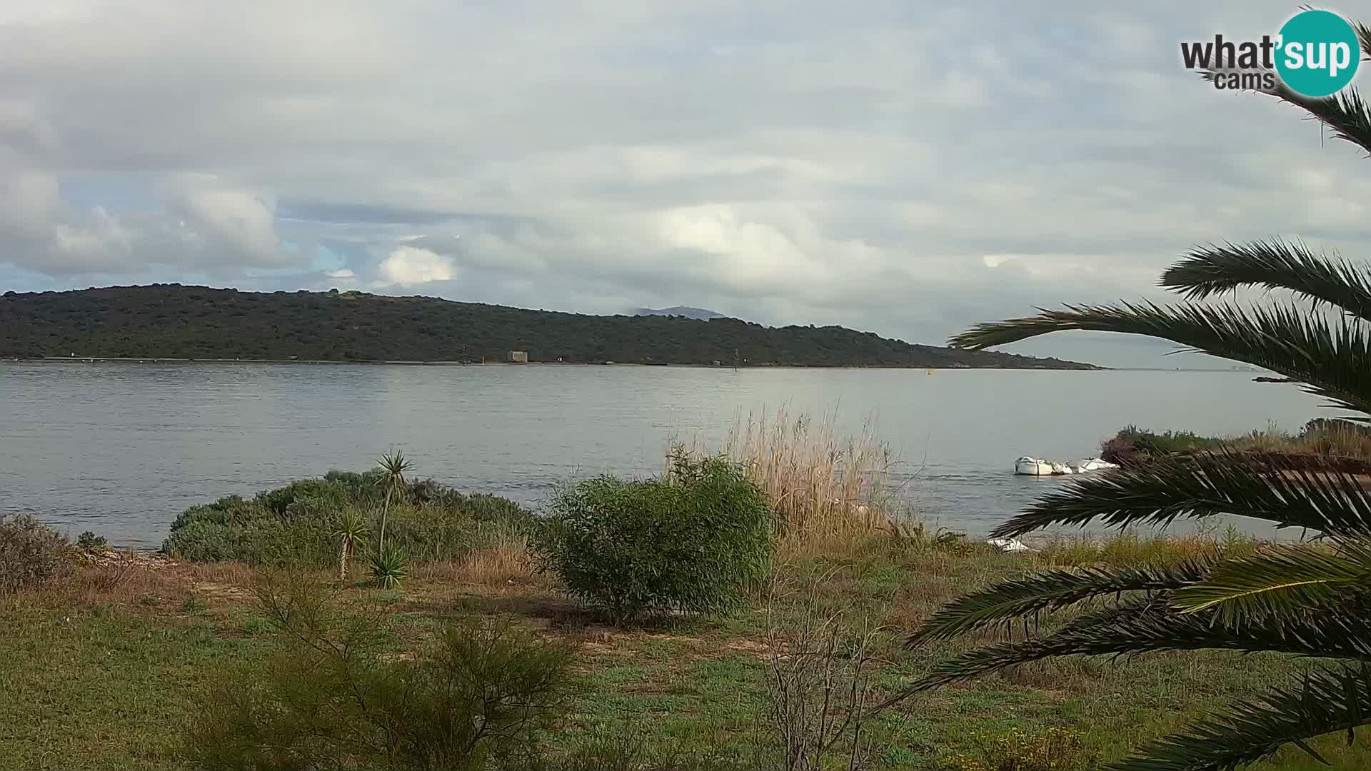 Webcam porto di Olbia – entrata nel porto di Olbia