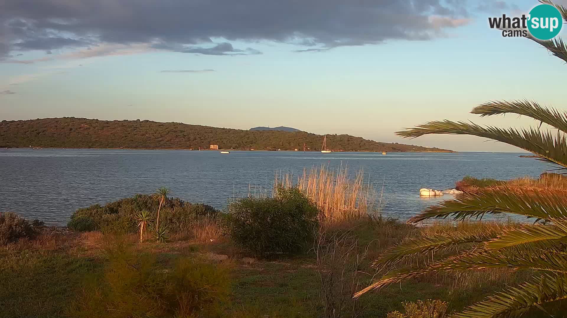 Web kamera Olbia luka – ulaz u luku Olbia