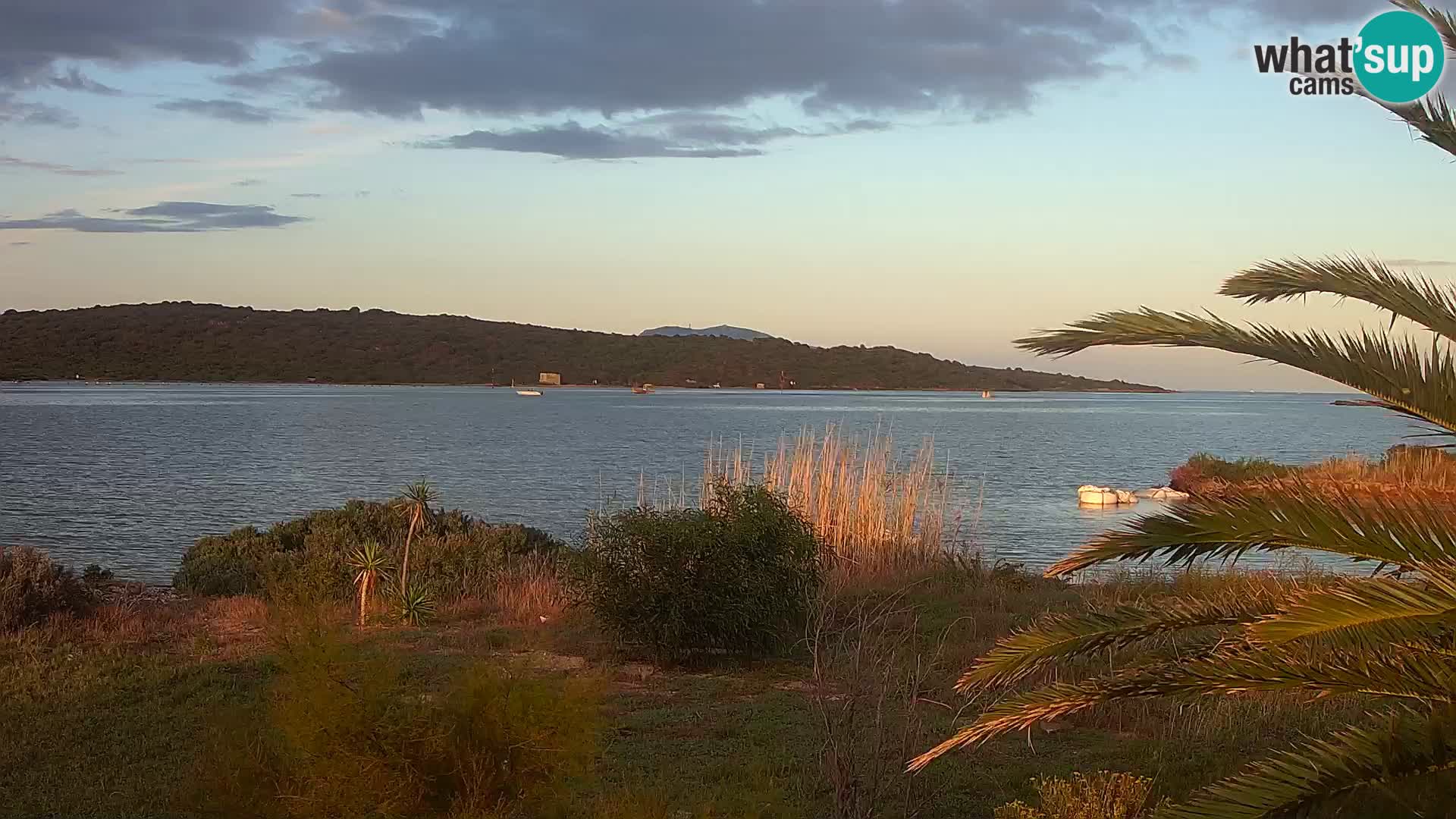 Webcam Hafen Olbia – Eingang zum Hafen von Olbia