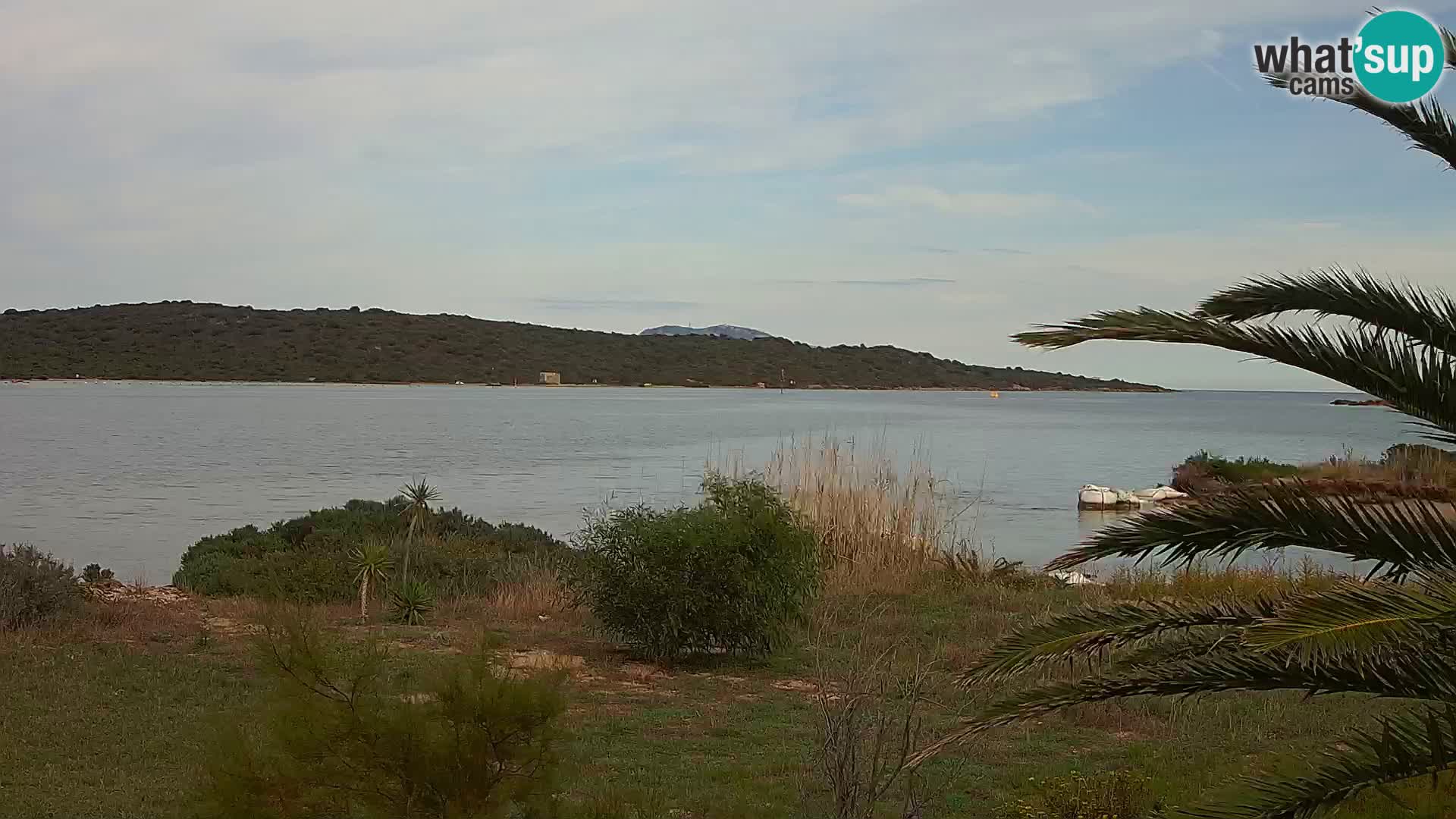 Webcam Olbia port – entrance to the port of Olbia