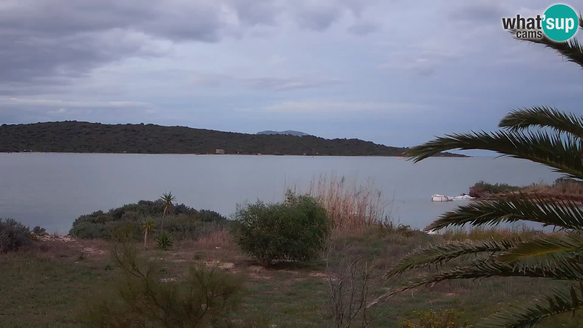 Spletna kamera pristanišče Olbia – vhod v pristanišče Olbia