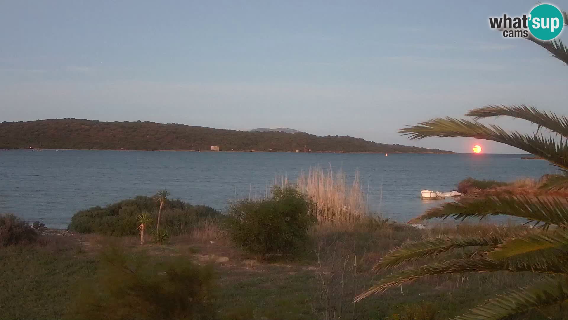 Webcam Olbia port – entrance to the port of Olbia