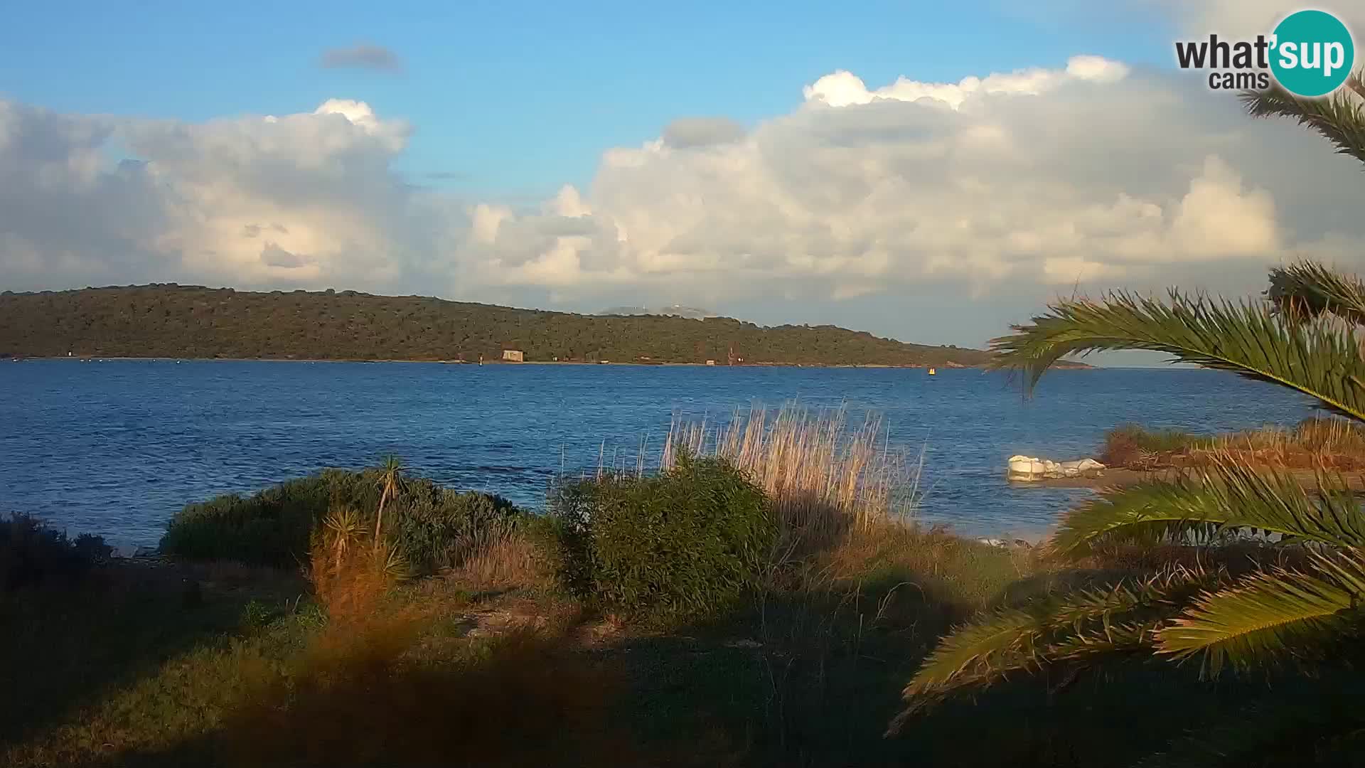 Web kamera Olbia luka – ulaz u luku Olbia