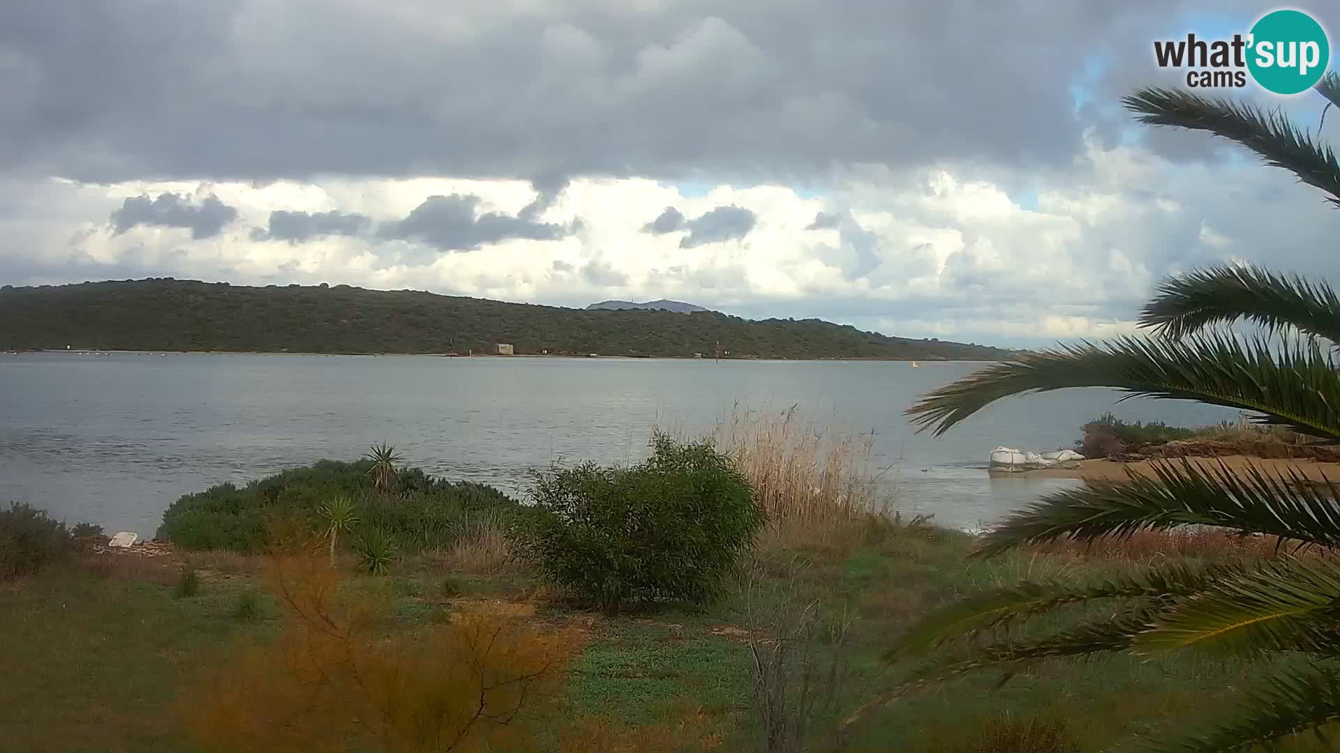 Camera web puerto de Olbia – entrada al puerto de Olbia