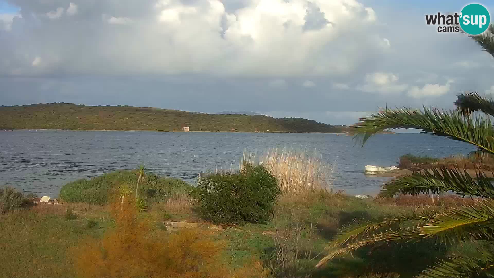 Webcam Olbia port – entrance to the port of Olbia