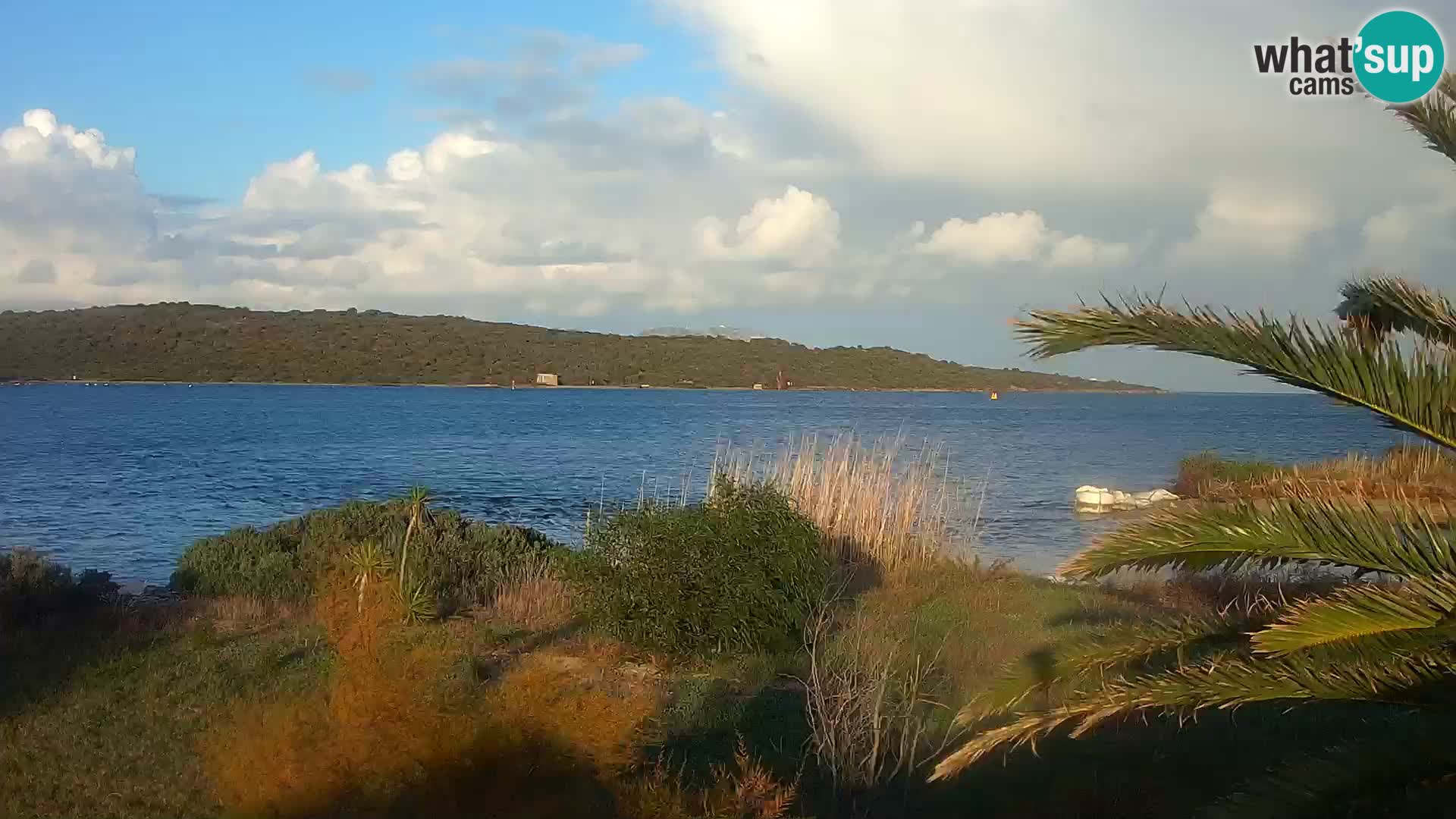 Spletna kamera pristanišče Olbia – vhod v pristanišče Olbia