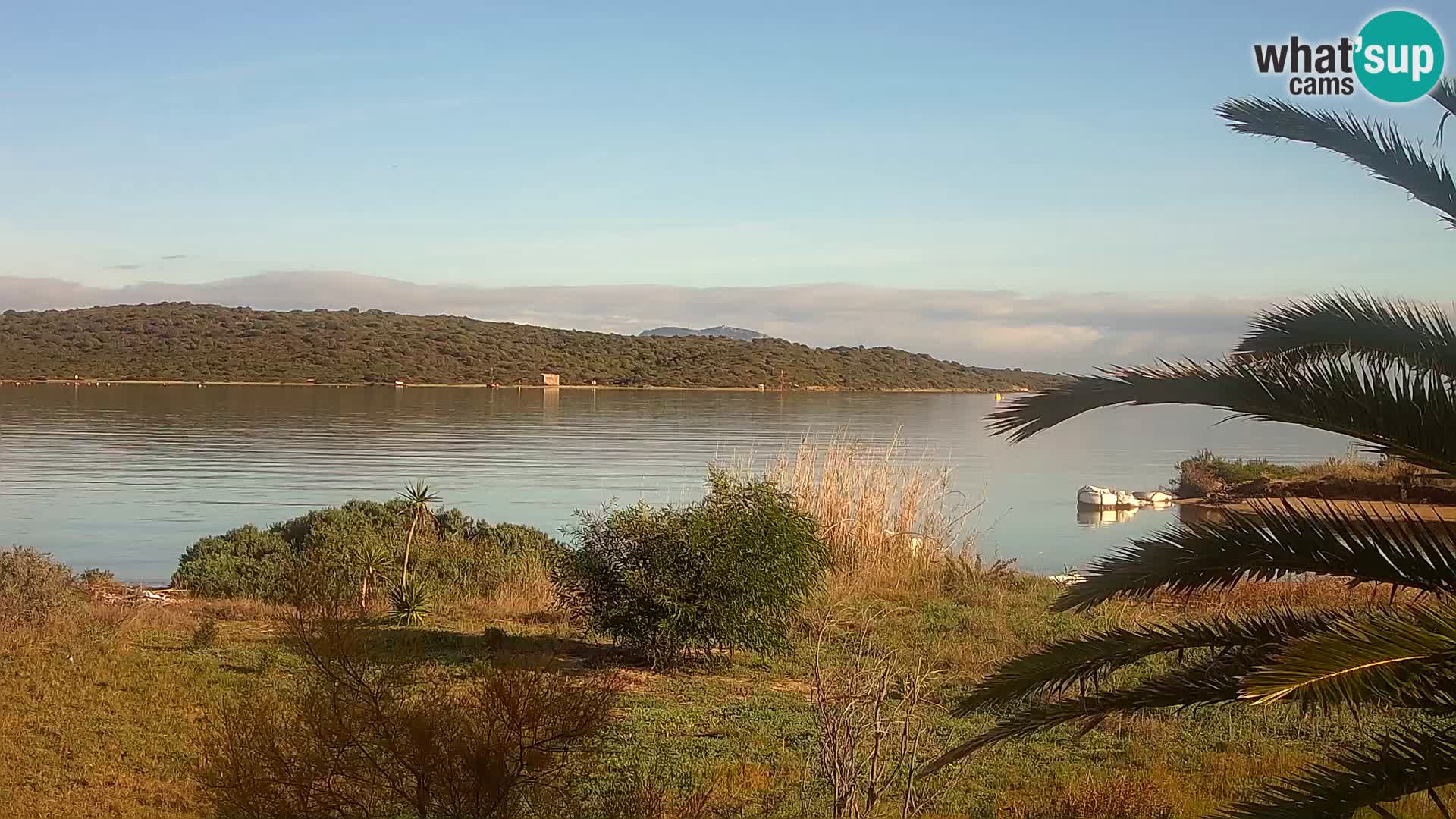 Webcam Olbia port – entrance to the port of Olbia