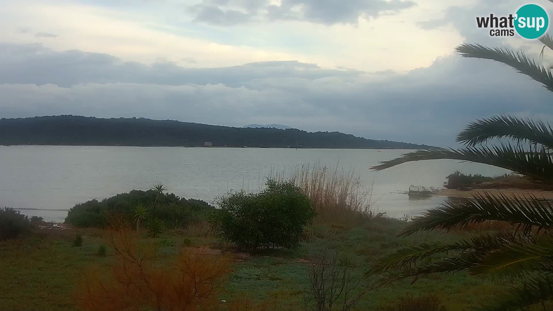 Webcam Olbia port – entrance to the port of Olbia