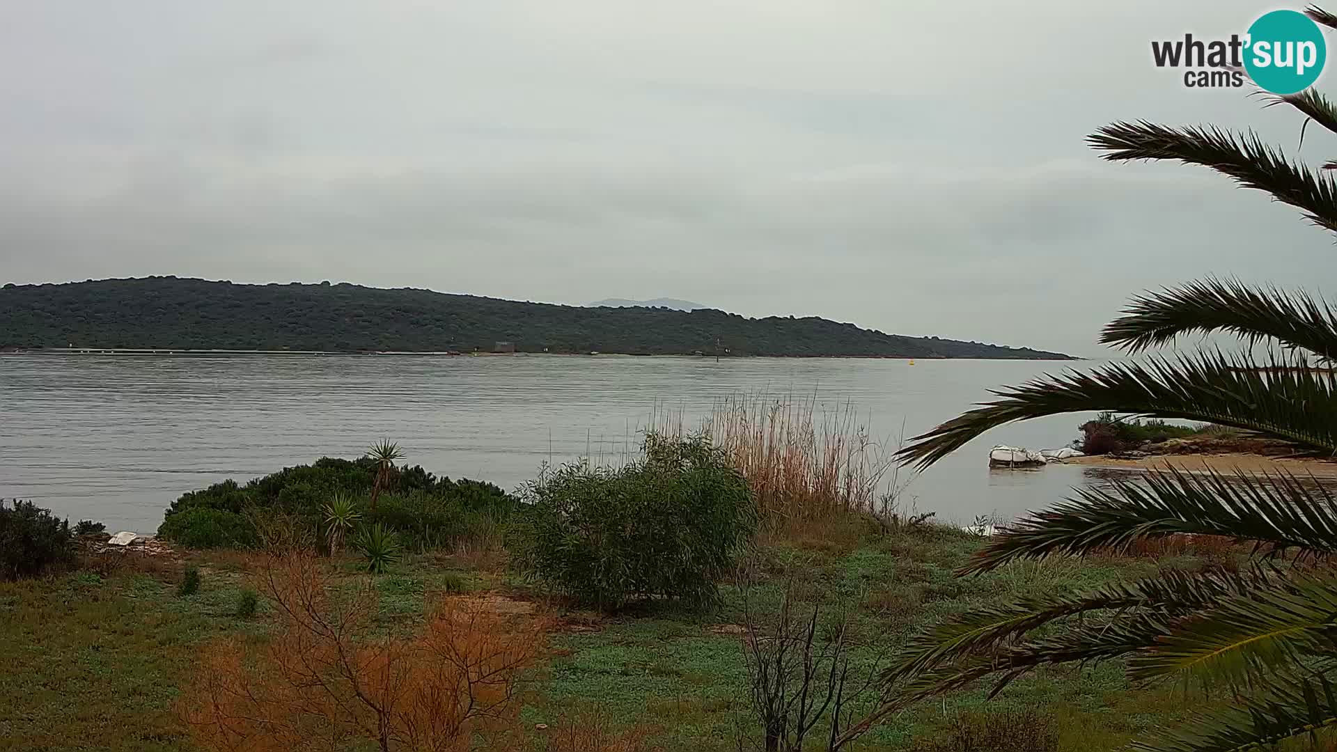 Webcam Hafen Olbia – Eingang zum Hafen von Olbia