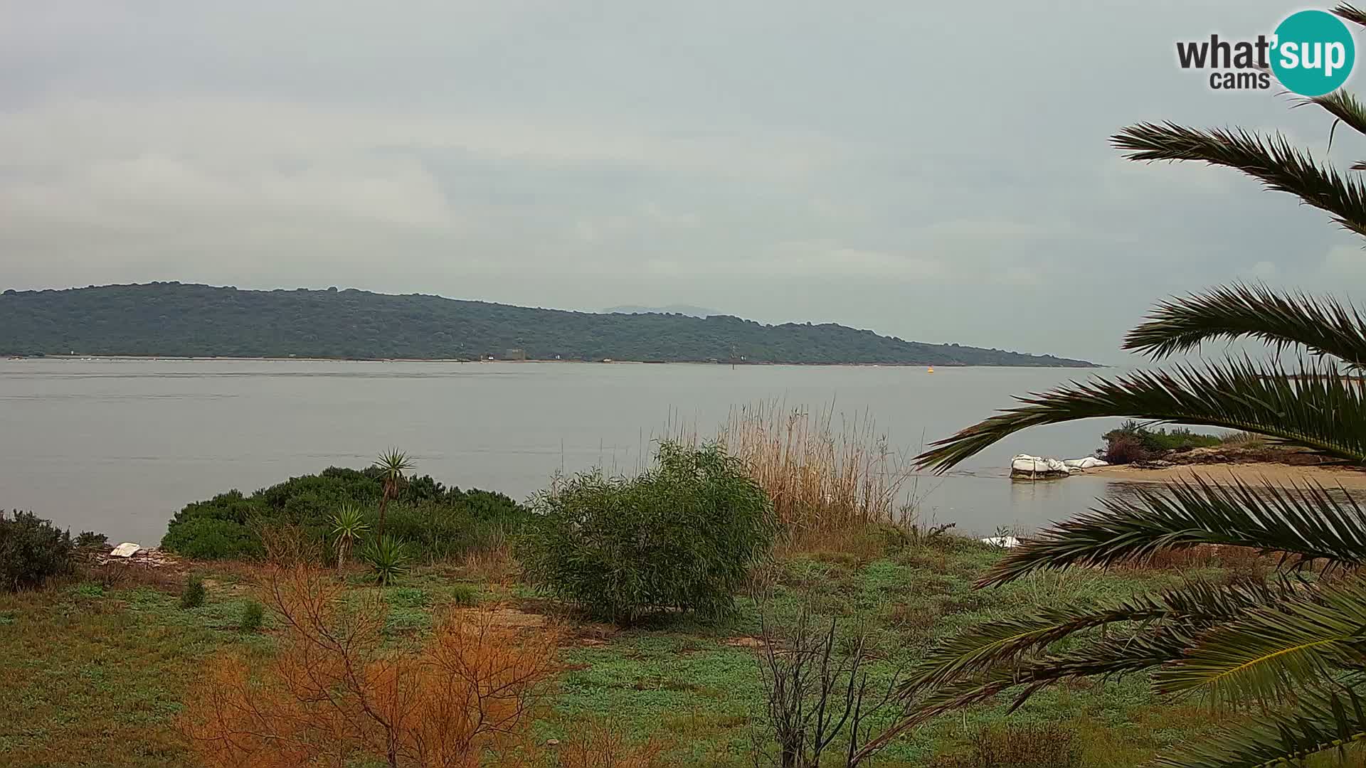 Webcam port d’Olbia – entrée du port d’Olbia