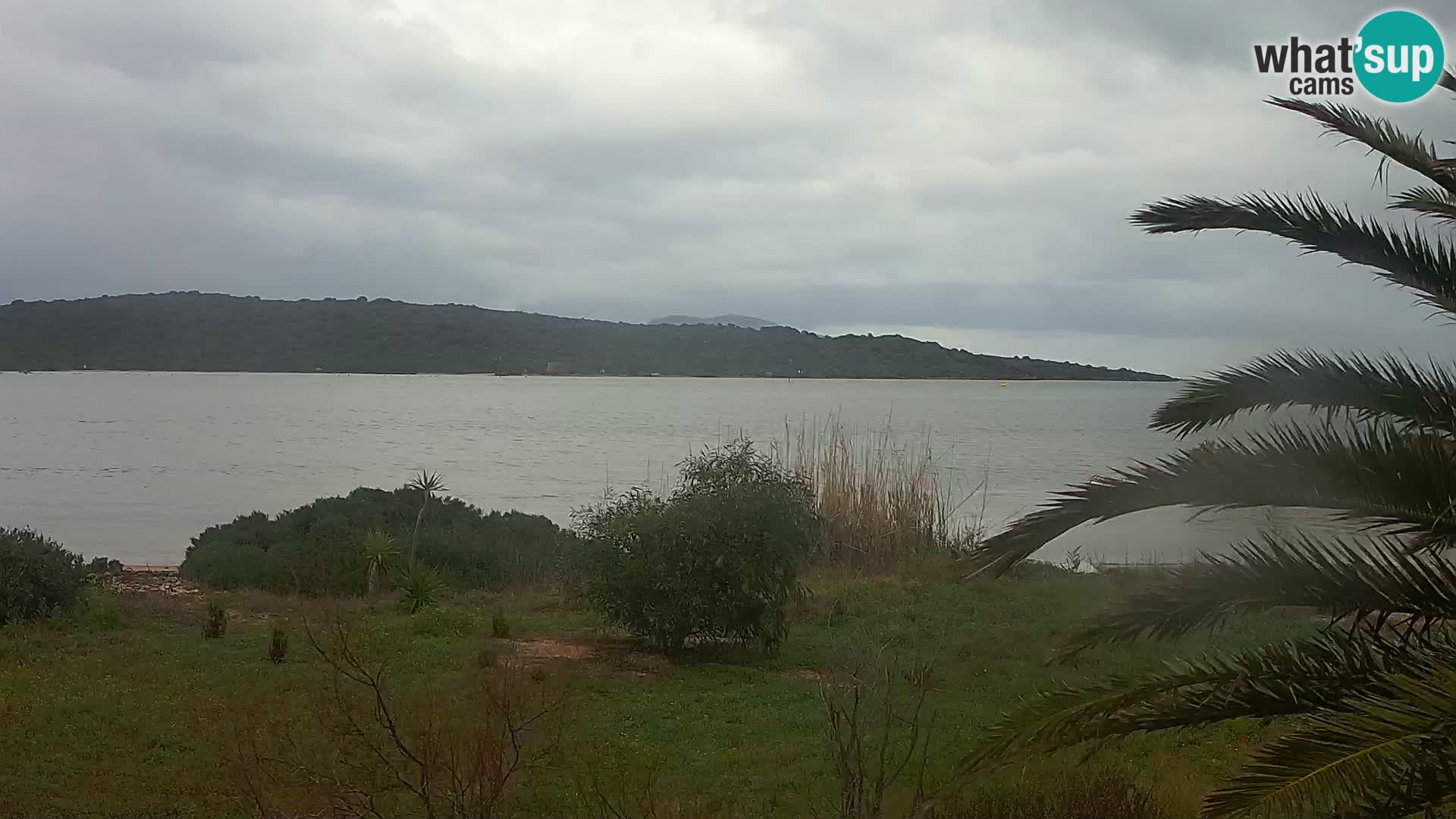 Camera web puerto de Olbia – entrada al puerto de Olbia