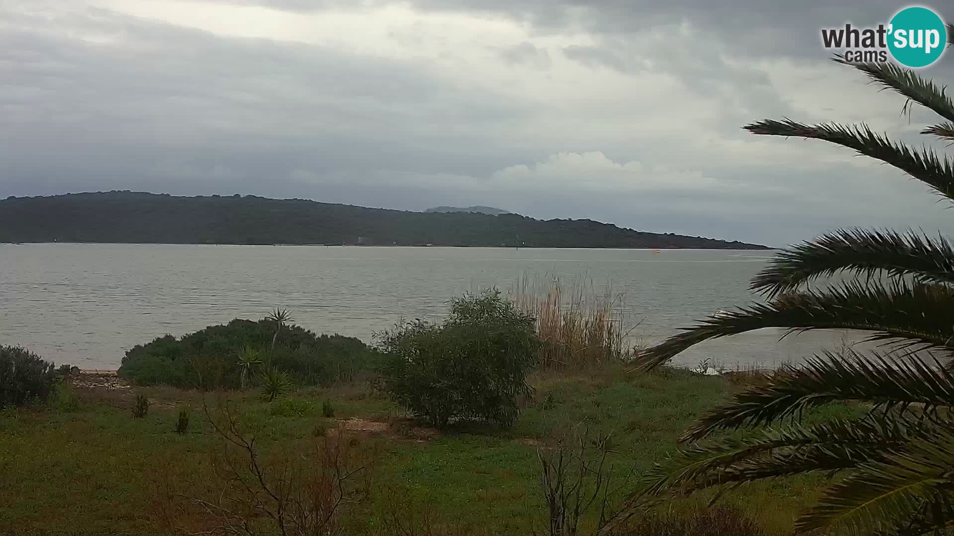 Webcam Hafen Olbia – Eingang zum Hafen von Olbia