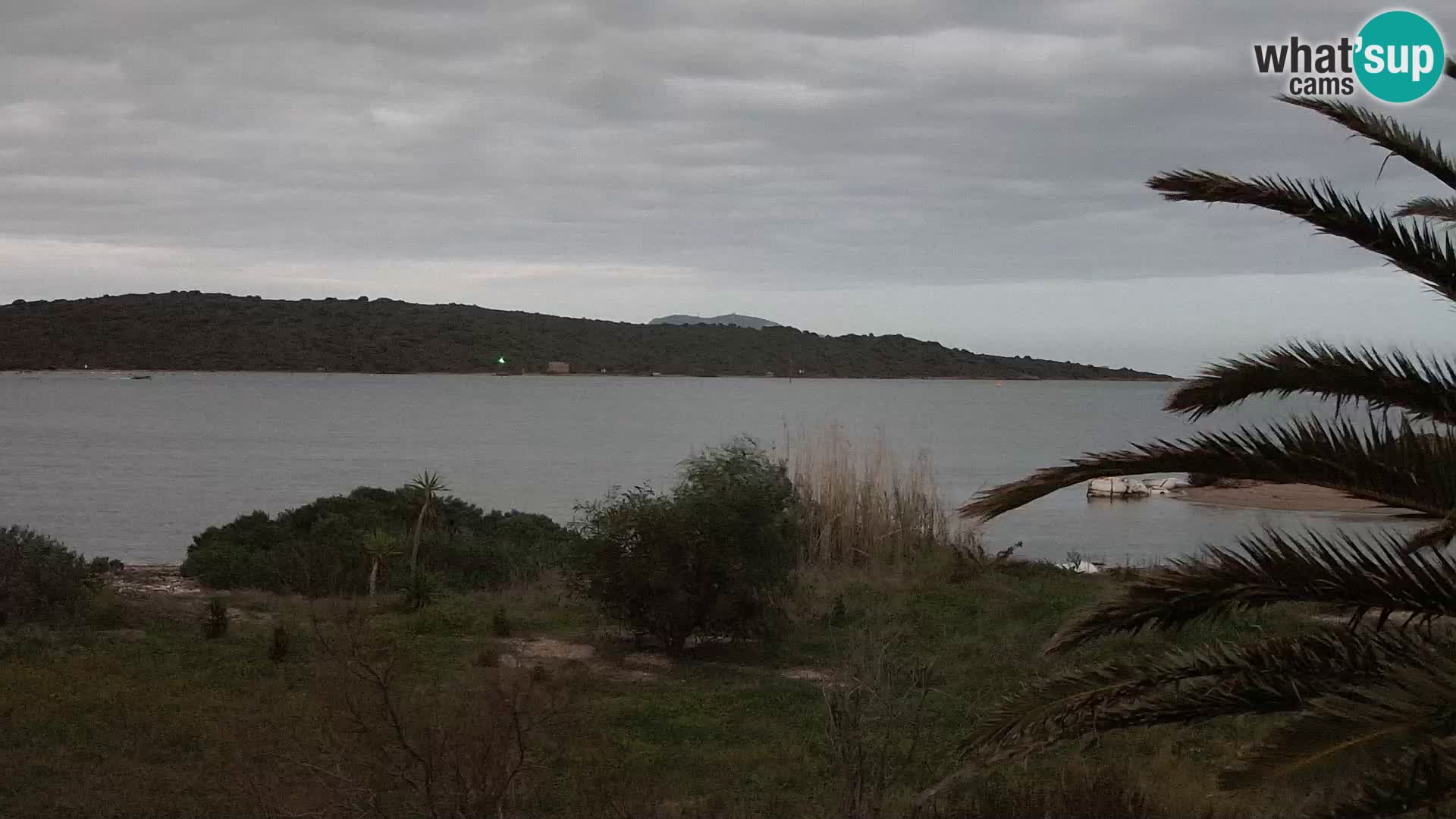 Webcam Olbia port – entrance to the port of Olbia
