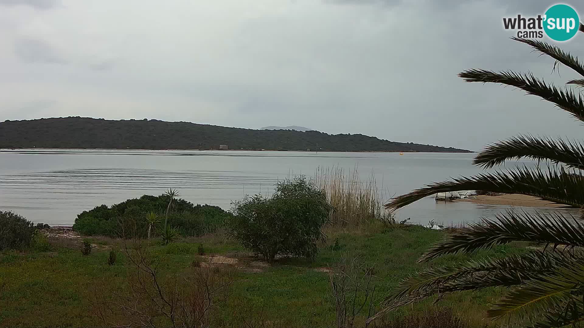 Web kamera Olbia luka – ulaz u luku Olbia