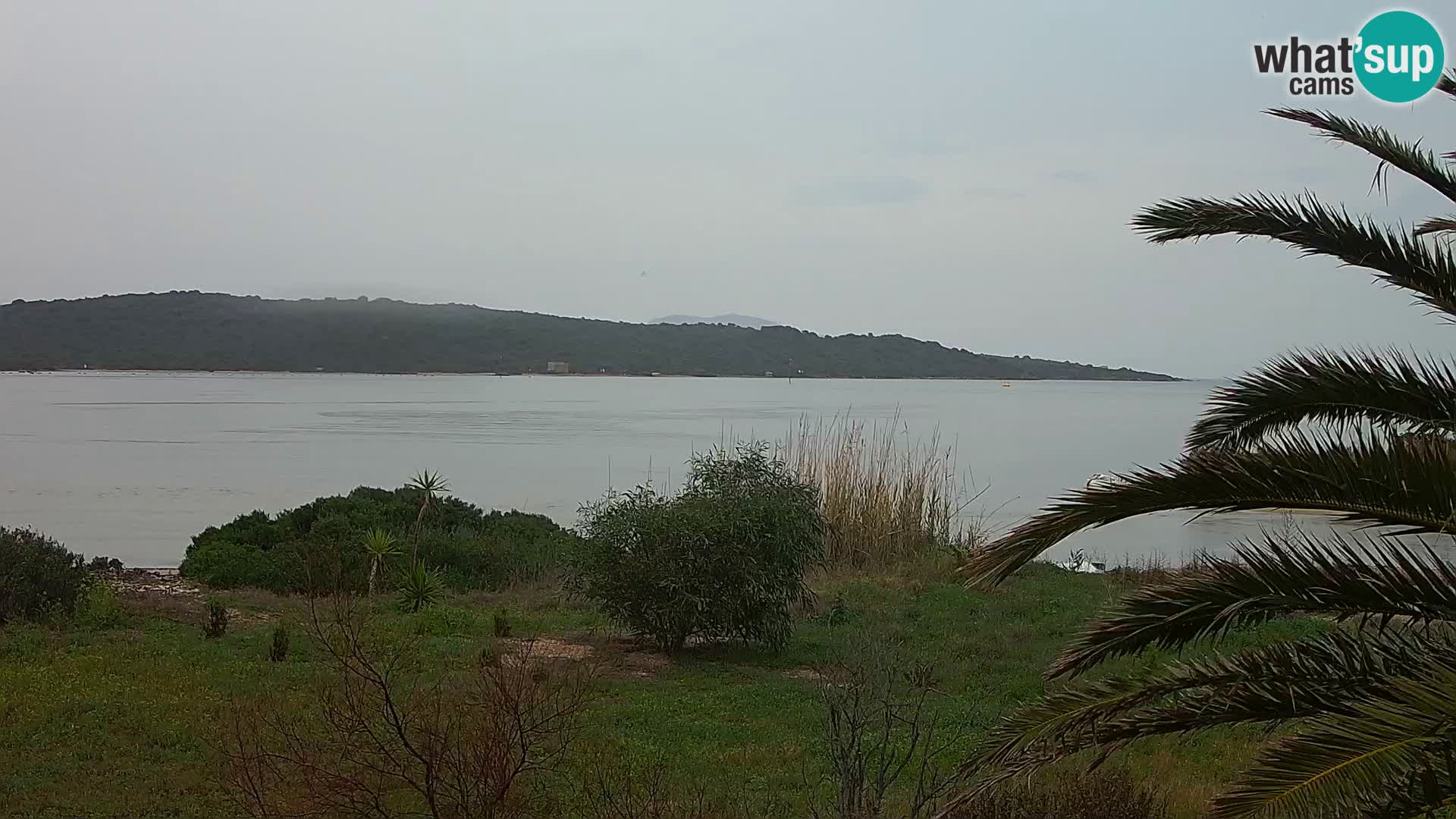 Camera web puerto de Olbia – entrada al puerto de Olbia