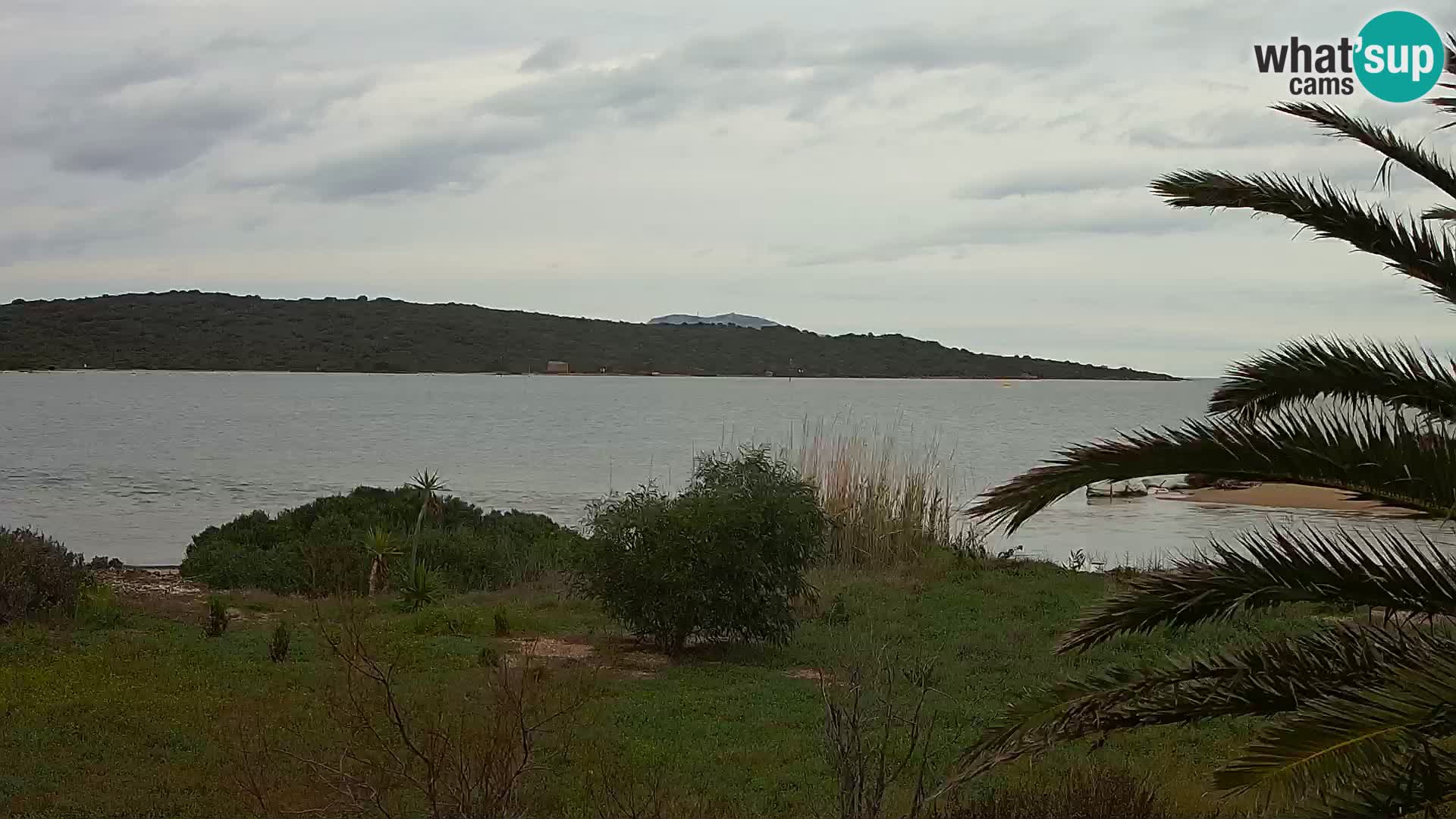 Webcam porto di Olbia – entrata nel porto di Olbia