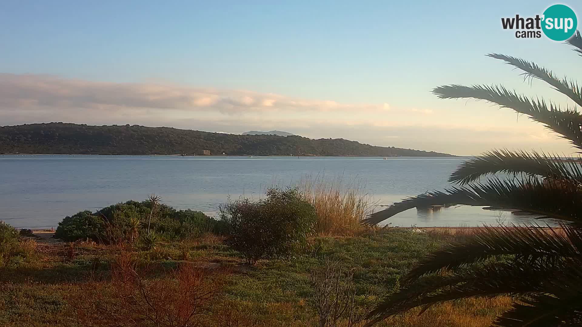 Camera web puerto de Olbia – entrada al puerto de Olbia