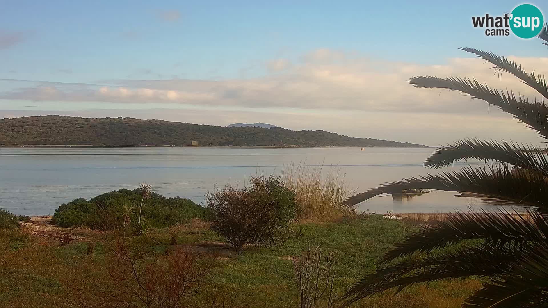 Webcam Olbia port – entrance to the port of Olbia