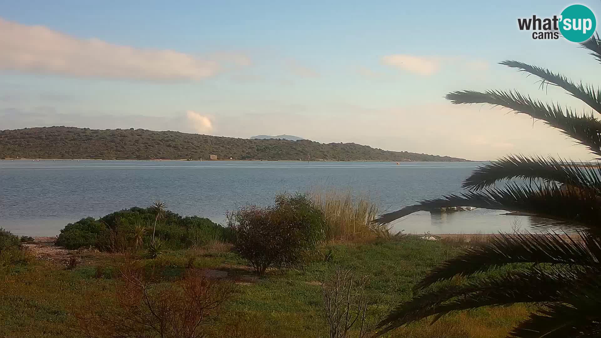 Webcam porto di Olbia – entrata nel porto di Olbia