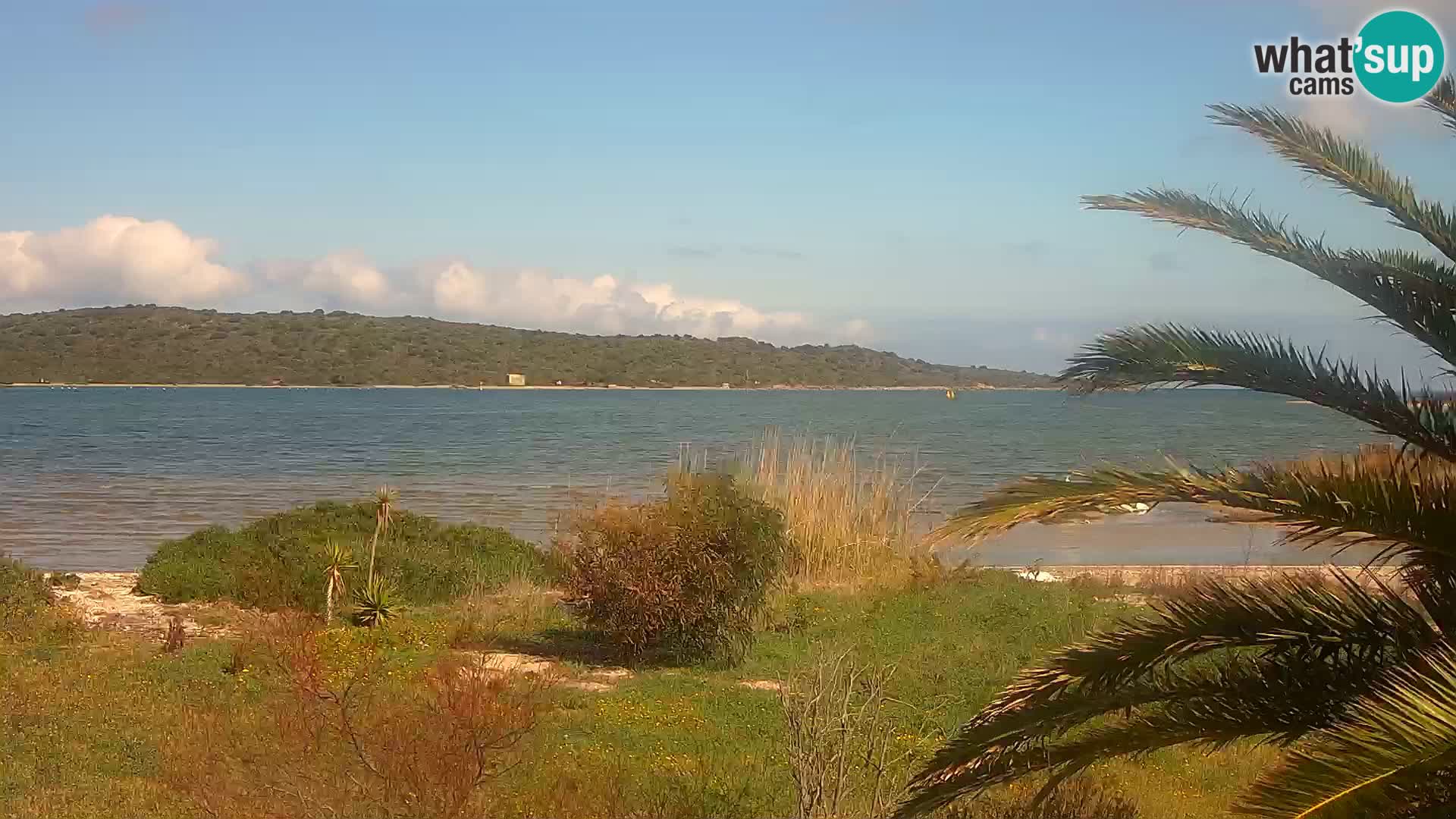 Webcam Hafen Olbia – Eingang zum Hafen von Olbia