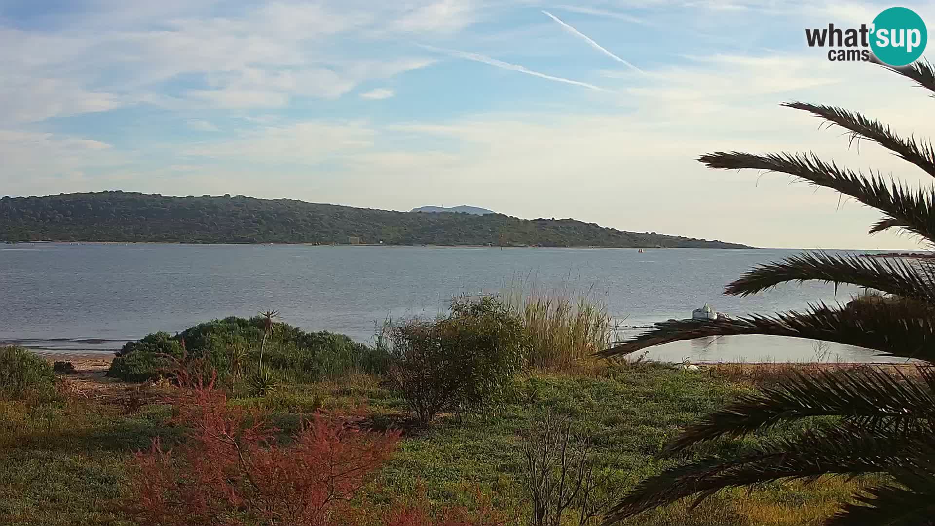 Web kamera Olbia luka – ulaz u luku Olbia