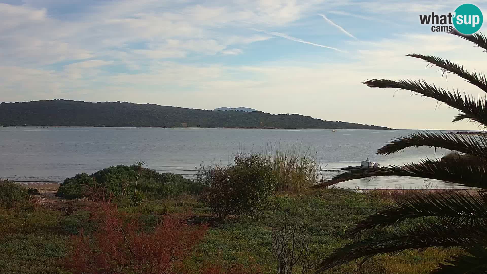 Webcam porto di Olbia – entrata nel porto di Olbia