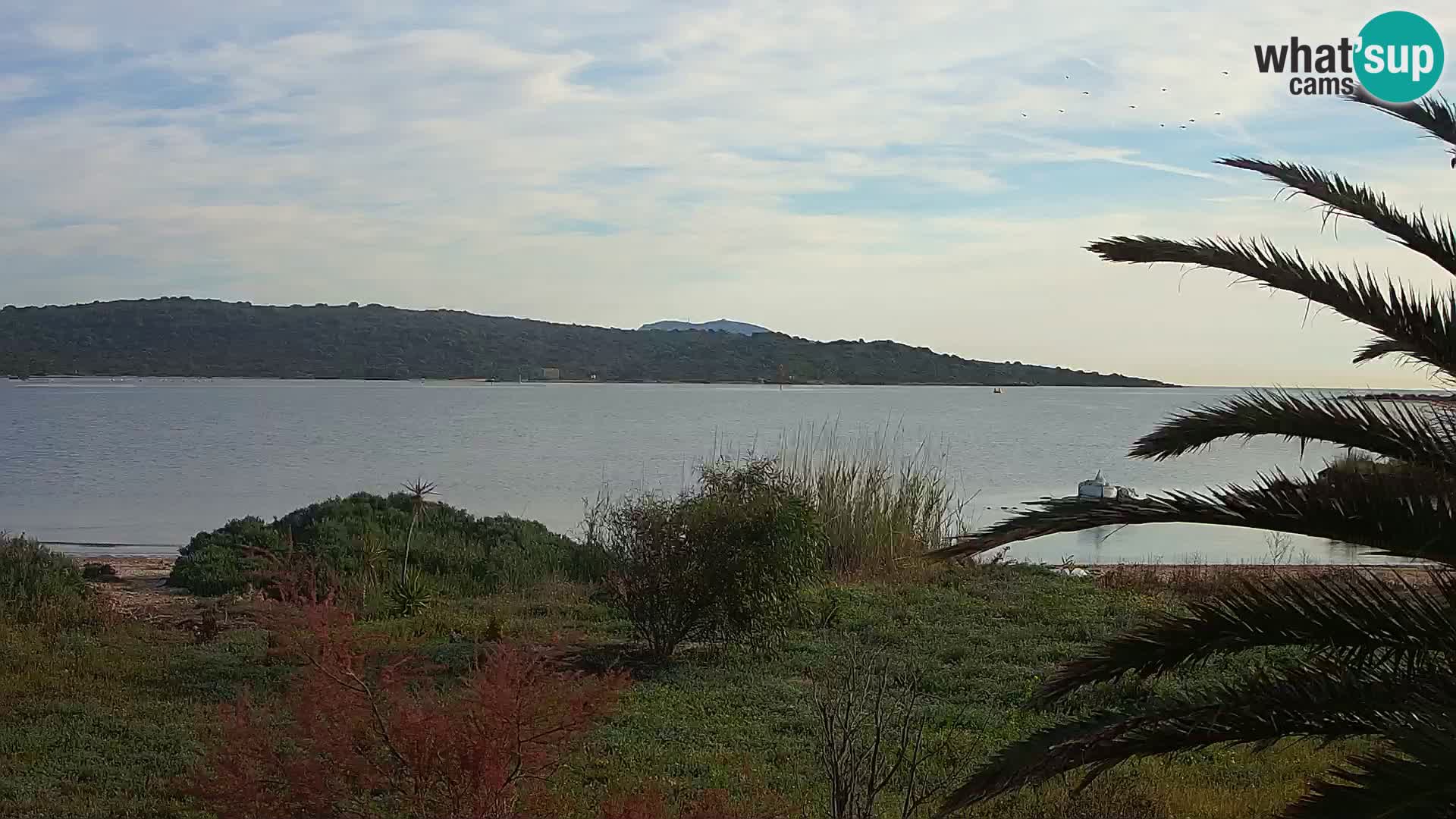 Webcam port d&rsquo;Olbia – entrée du port d&rsquo;Olbia