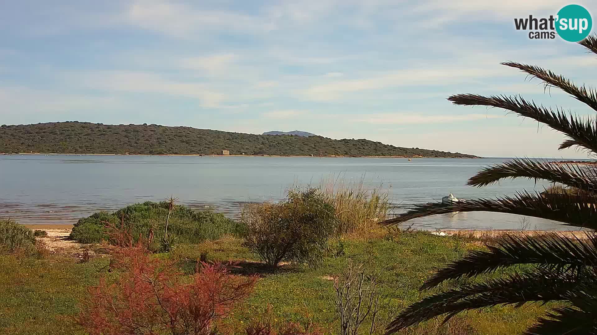 Webcam porto di Olbia – entrata nel porto di Olbia