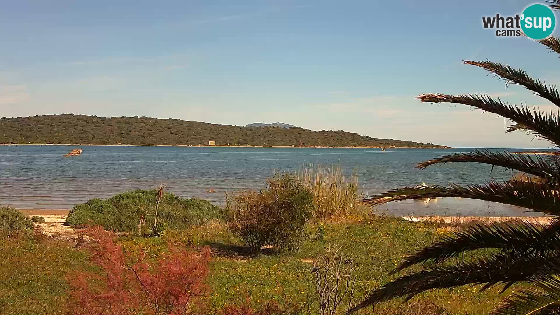 Webcam port d&rsquo;Olbia – entrée du port d&rsquo;Olbia