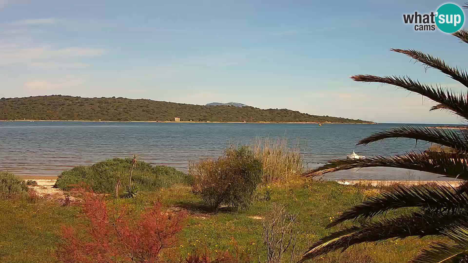 Webcam Olbia port – entrance to the port of Olbia